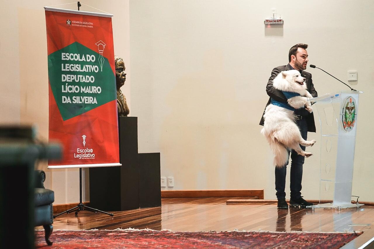 Proteção animal terá frente parlamentar para defesa da causa