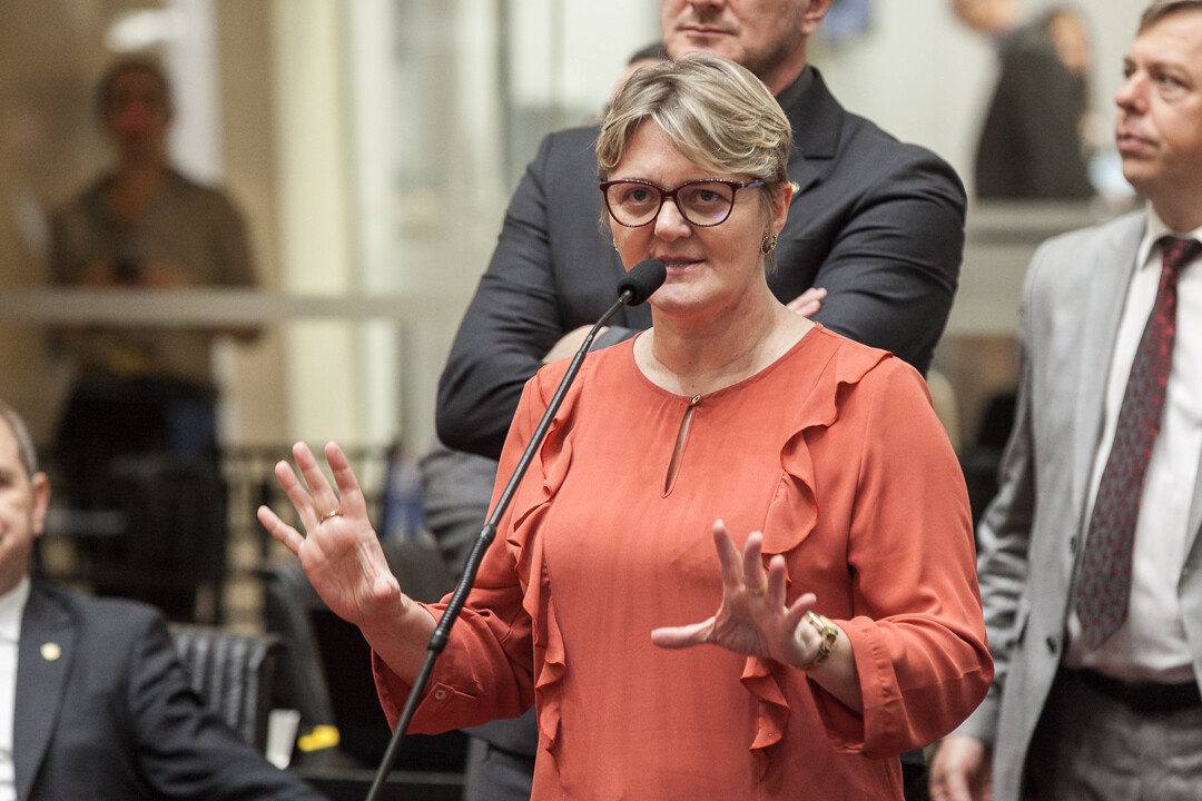 Deputada Luciane Carminatti