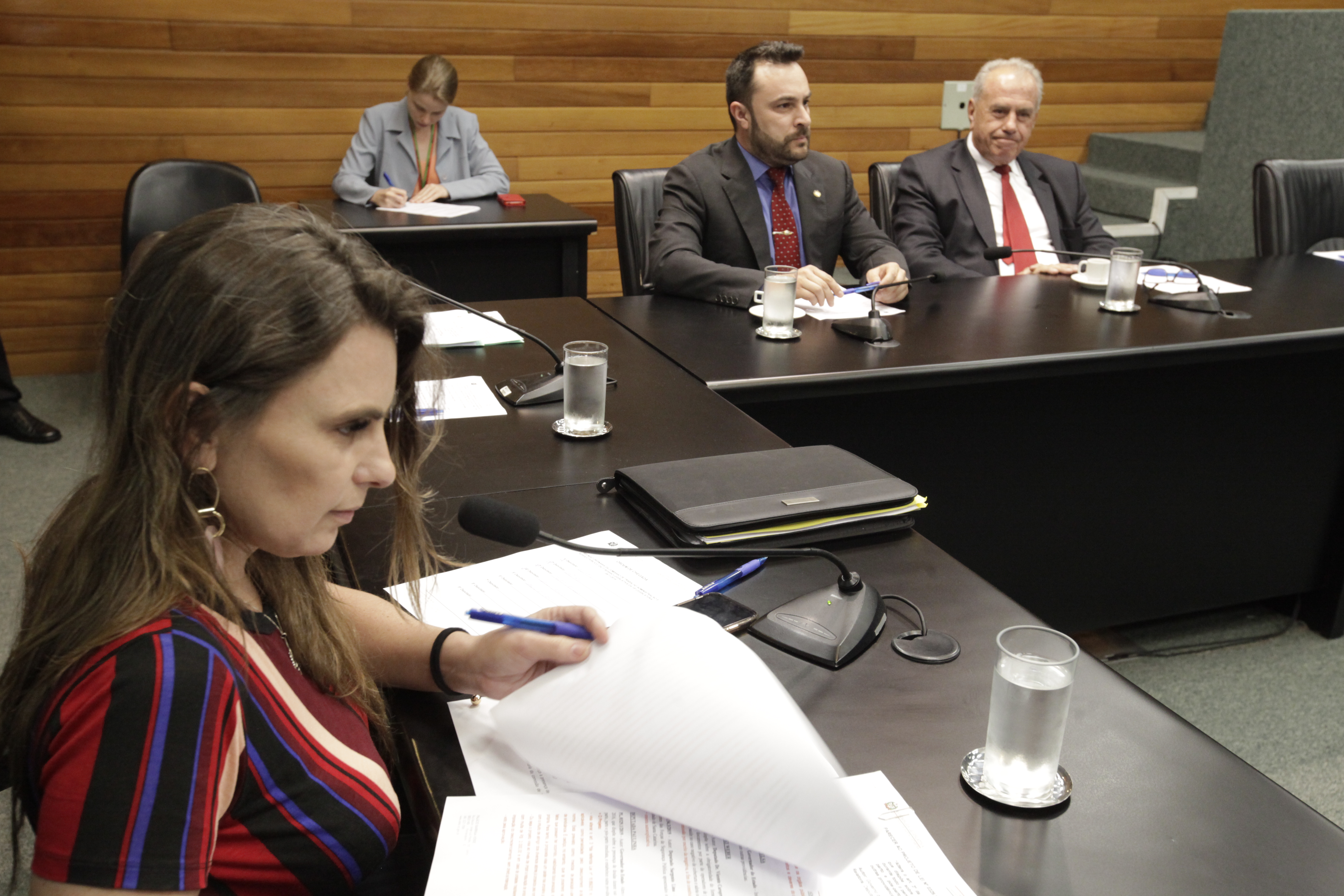 Comissão de Trabalho Administração e Serviços Públicos