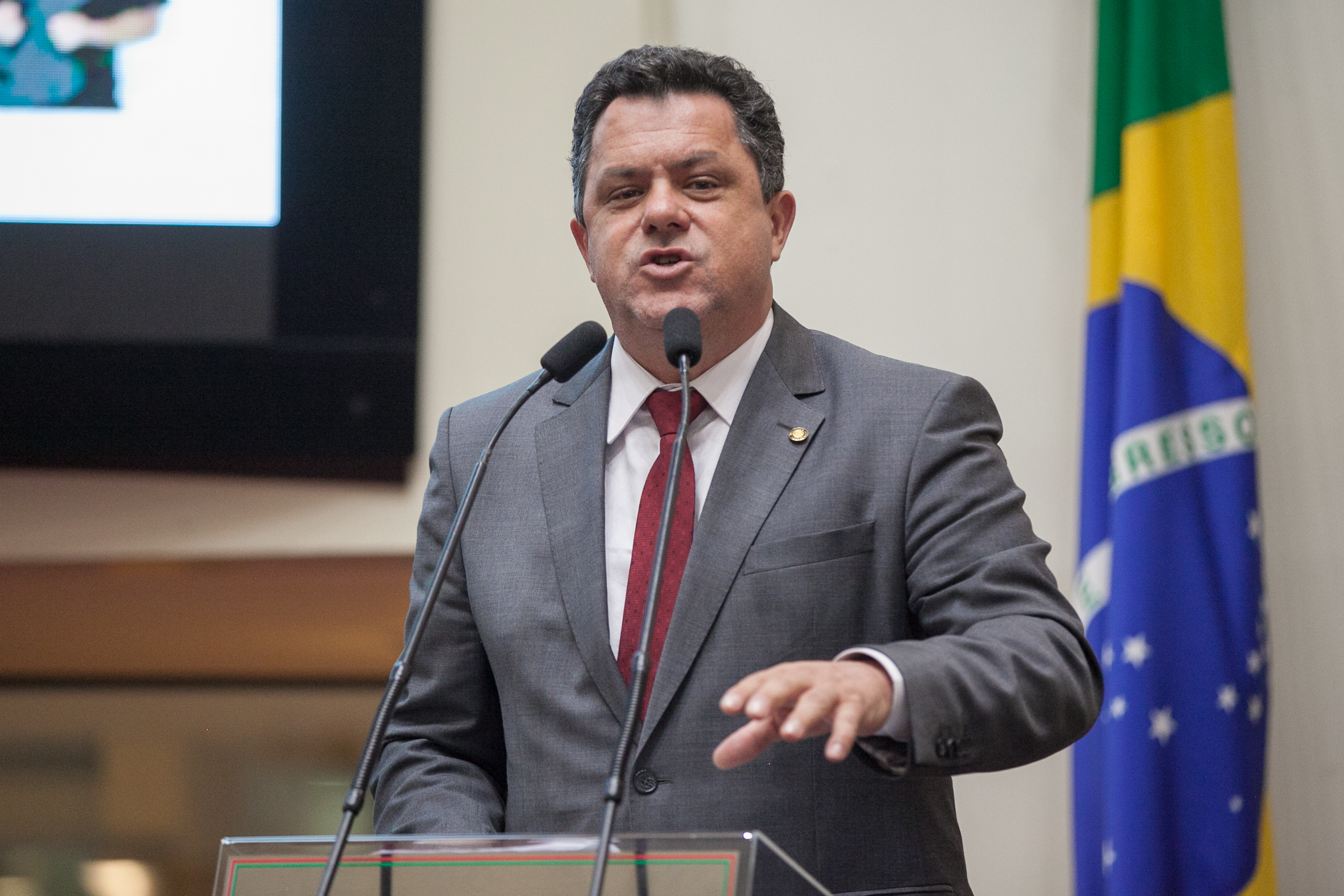 Deputado Ivan Naatz (PV)