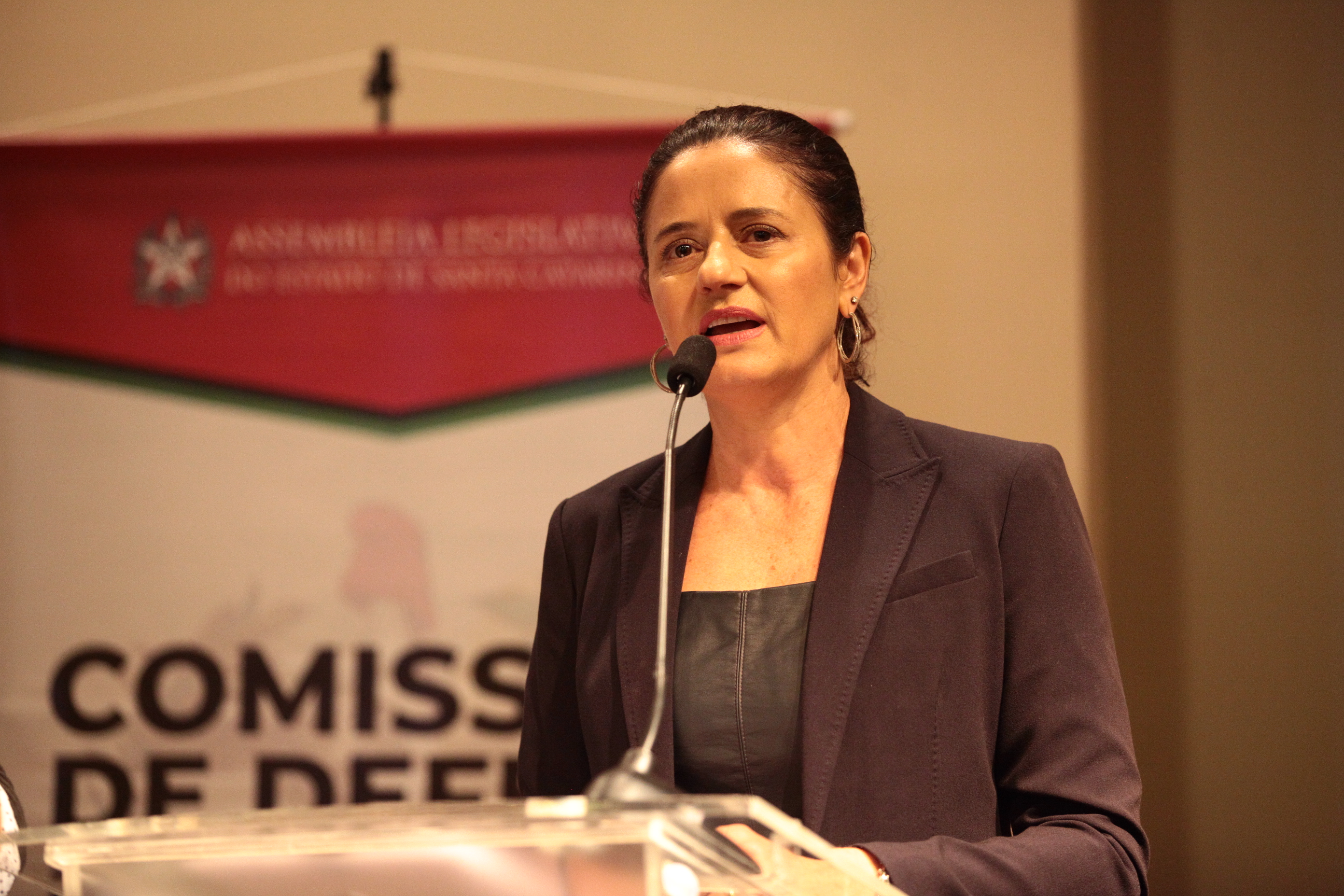 Seminário: A Importância das entidades na política de Assistência Social - Deputada Marlene Fengler