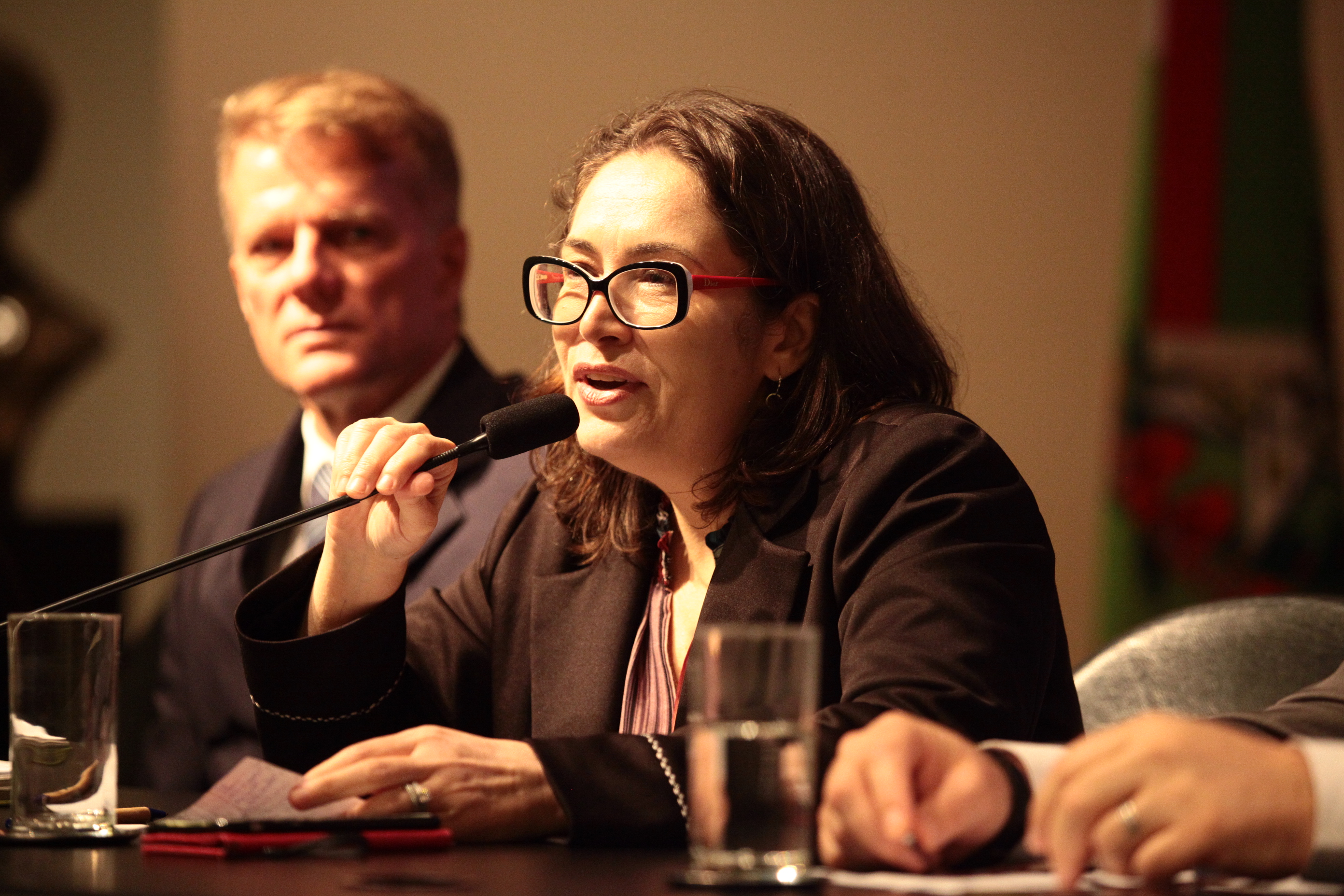 Seminário: A Importância das entidades na política de Assistência Social - Rosangela Teixeira
