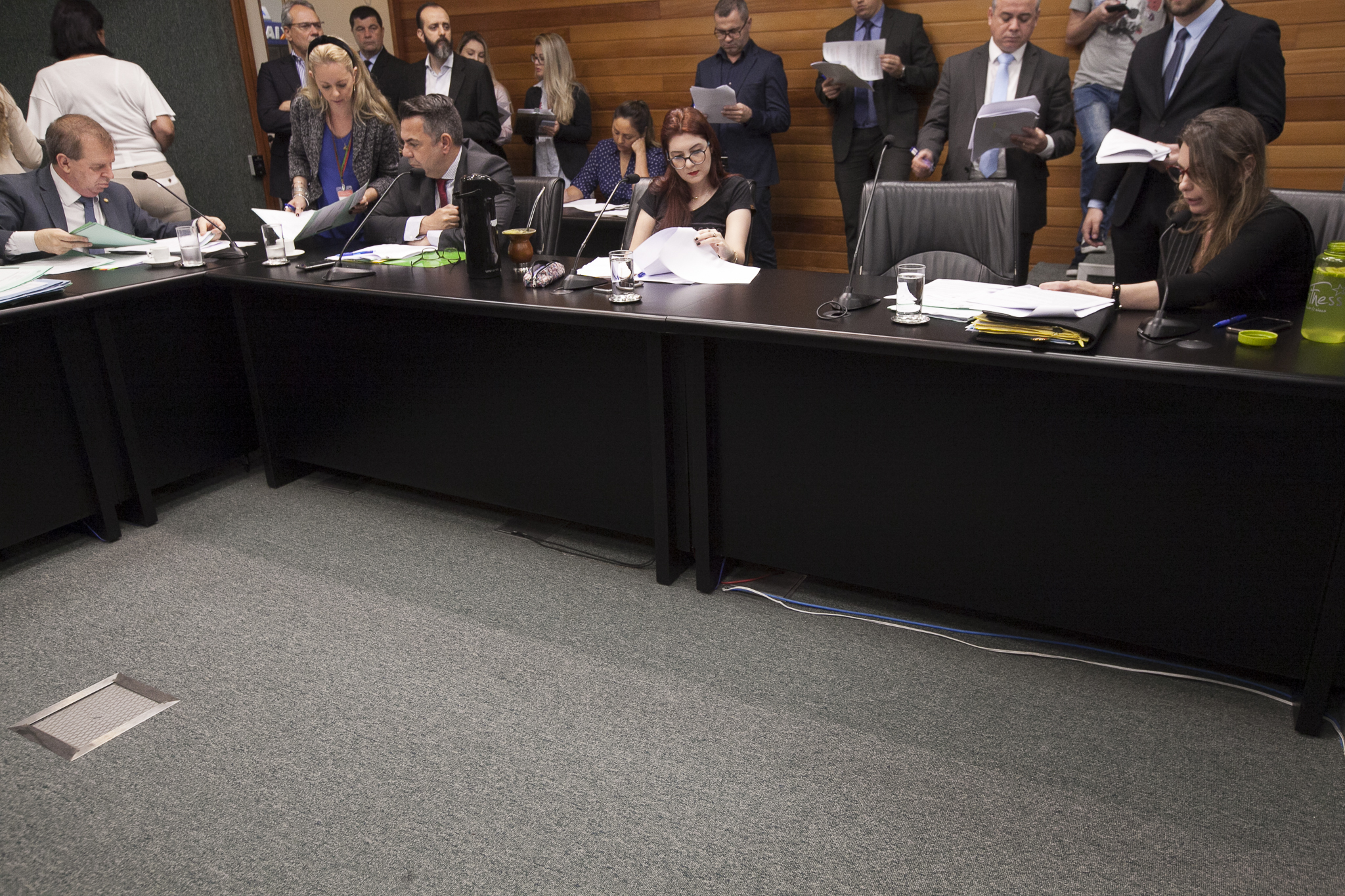 Comissão de Constituição e Justiça