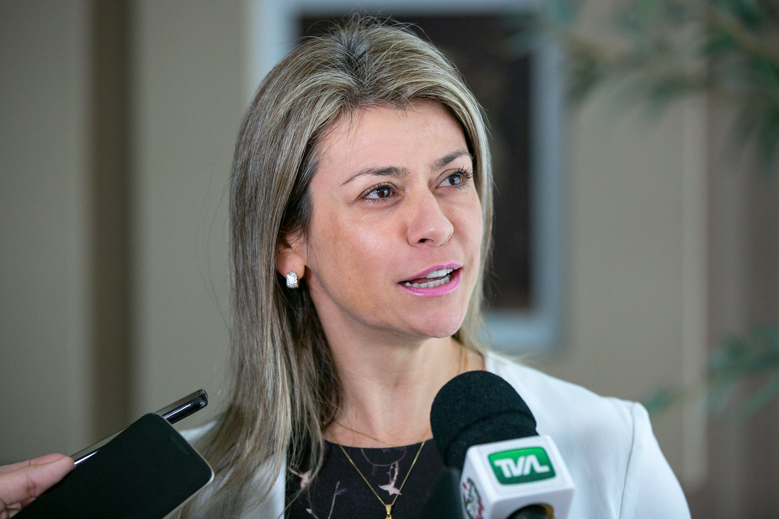 Palestrante Cláudia Bressan da Silva
