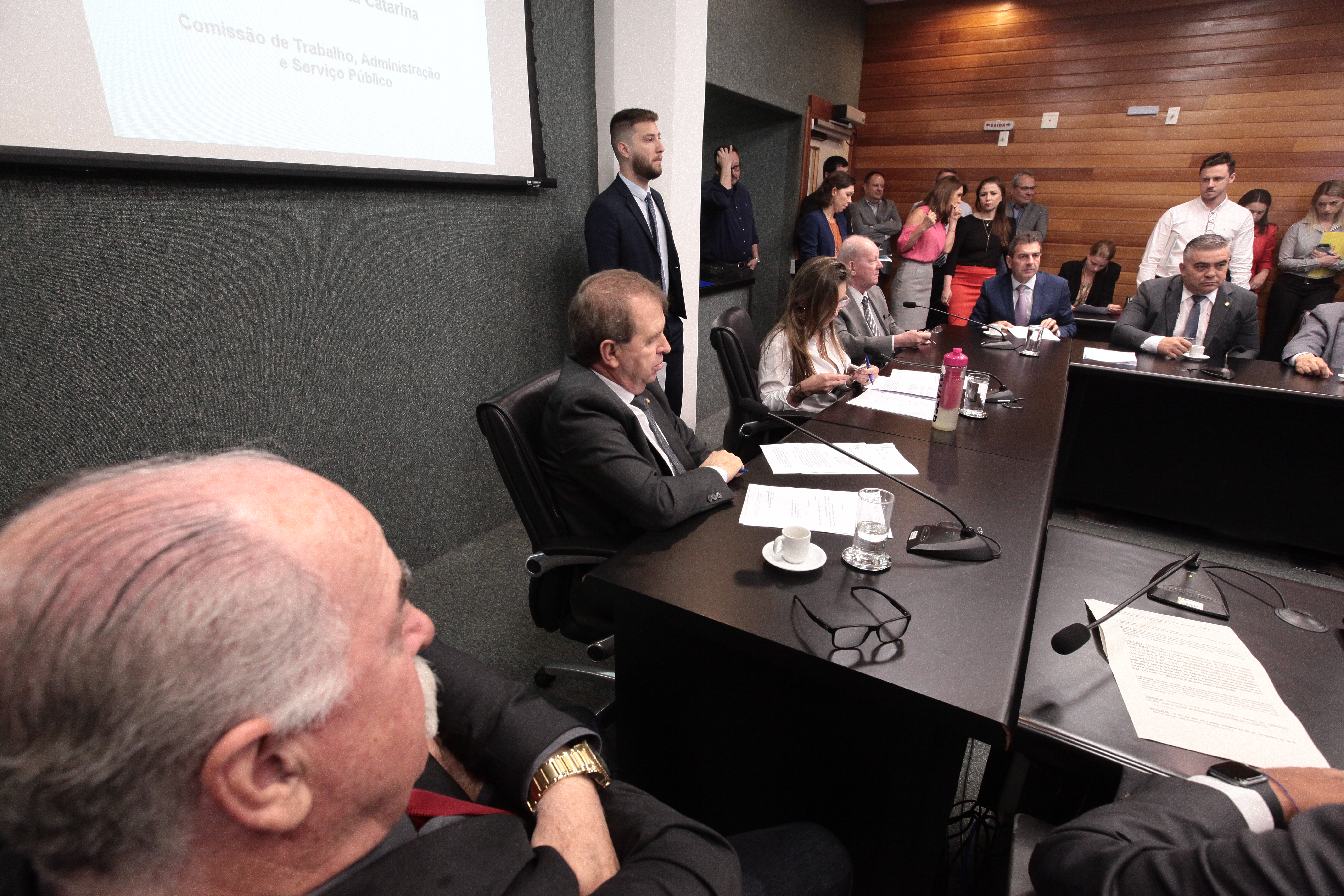 Comissão Mista Trabalho e Segurança Pública