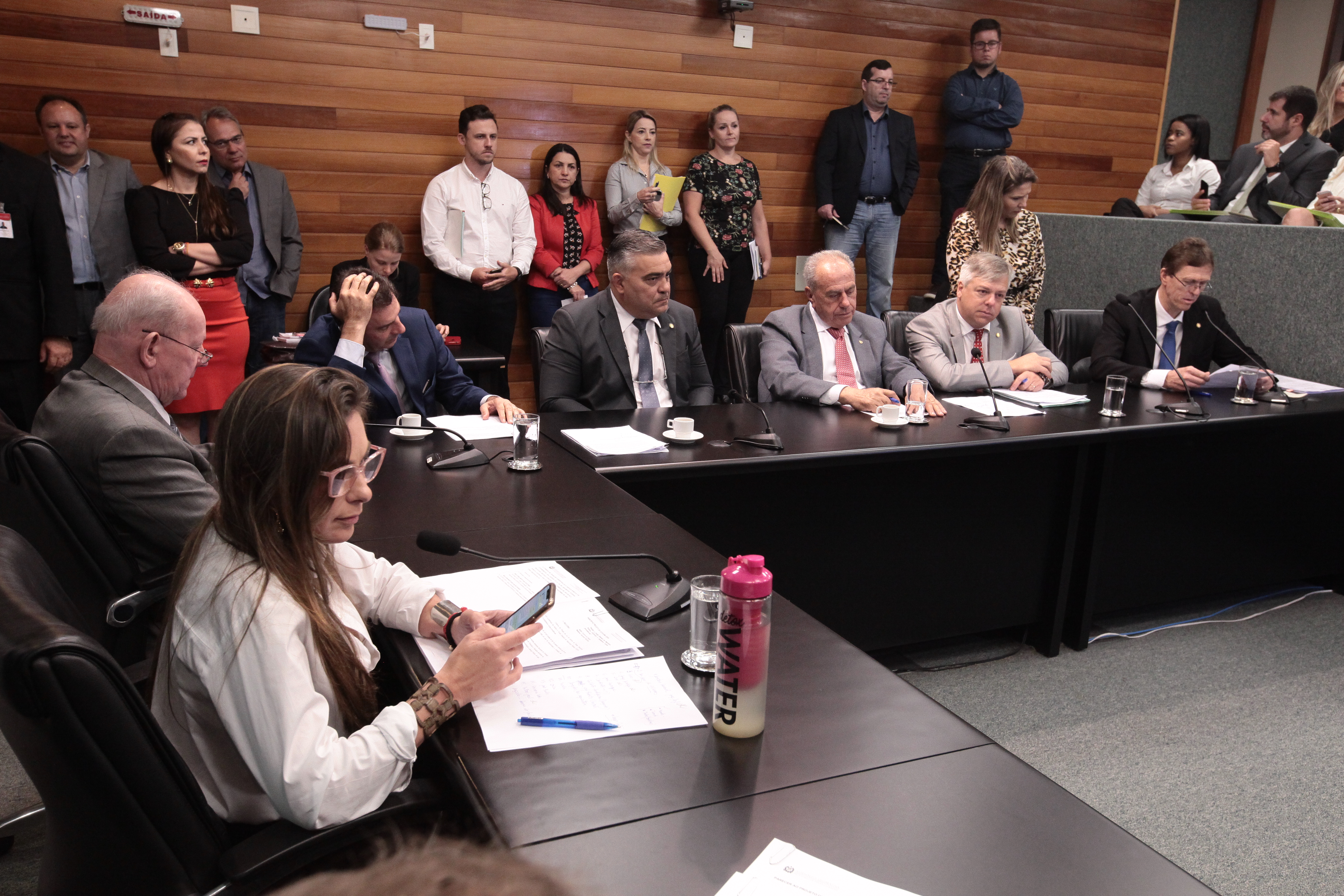 Comissão Mista Trabalho e Segurança Pública