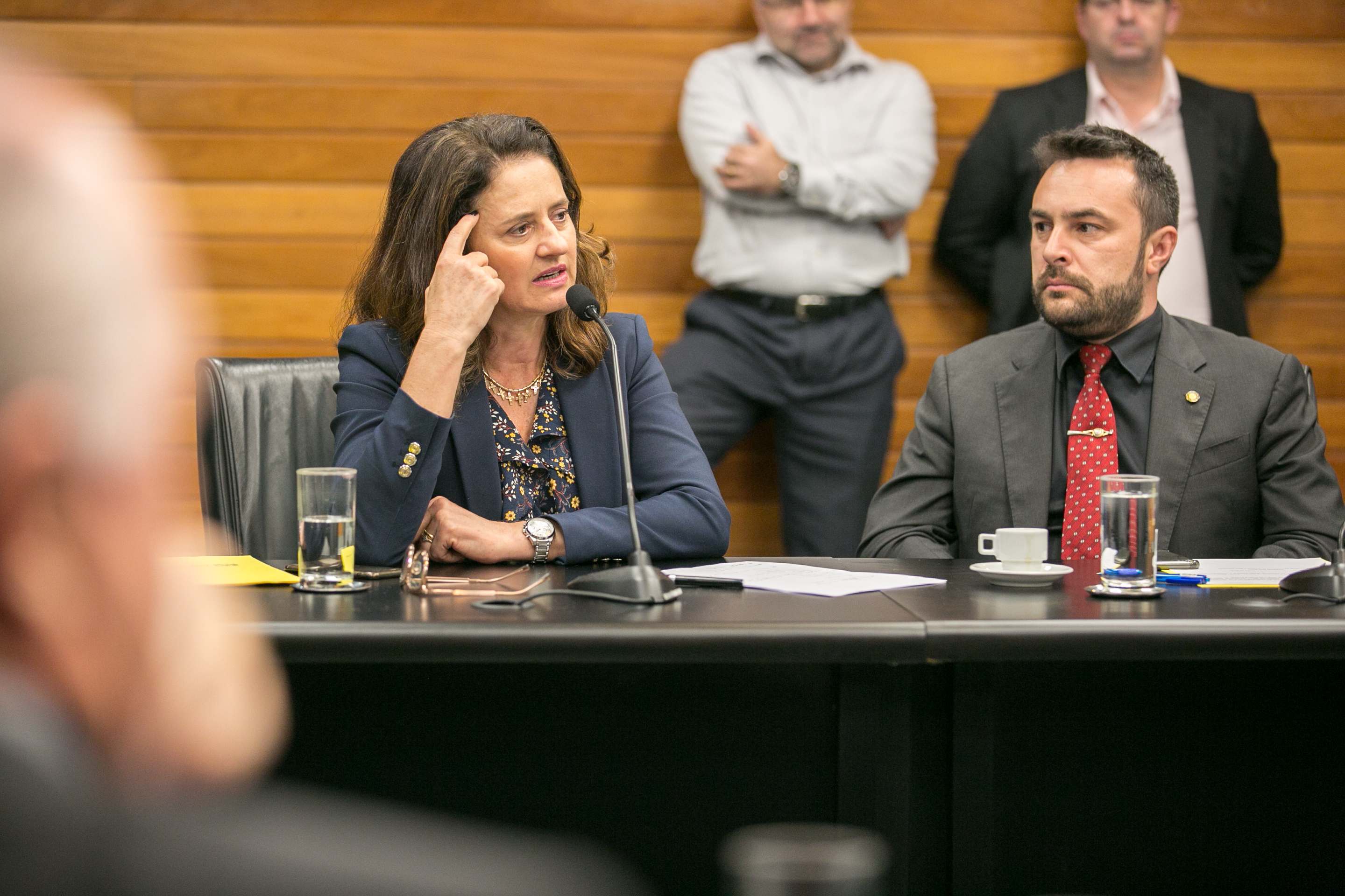 Deputada Marlene Fengler (PSD)