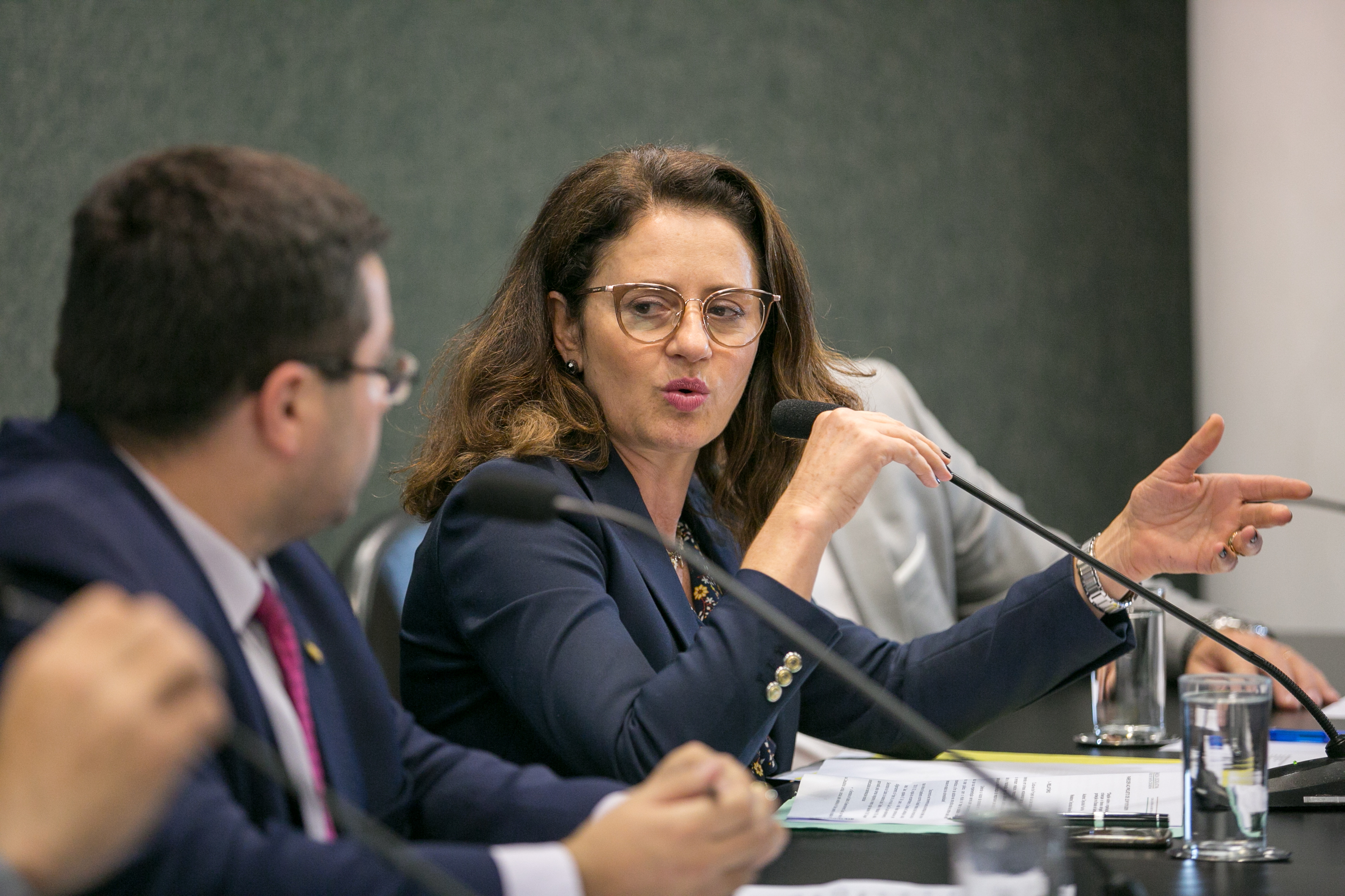 Deputada Marlene Fengler (PSD)