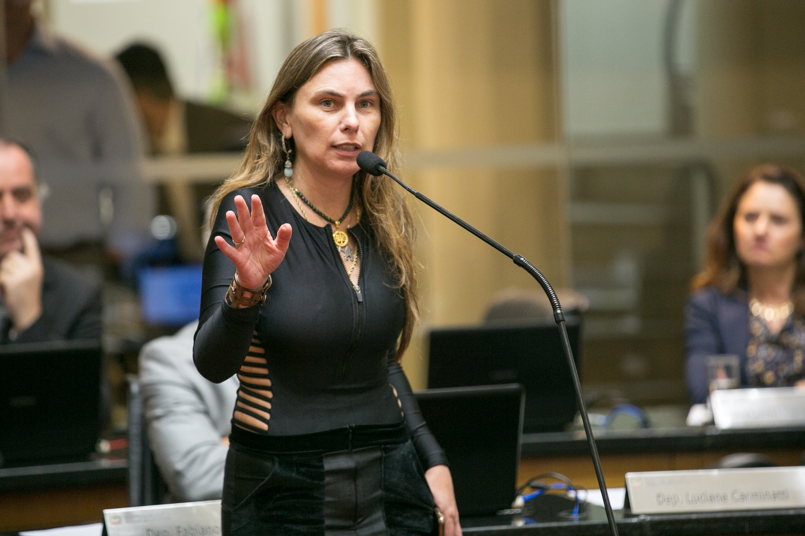 Deputada Paulinha (PDT)
