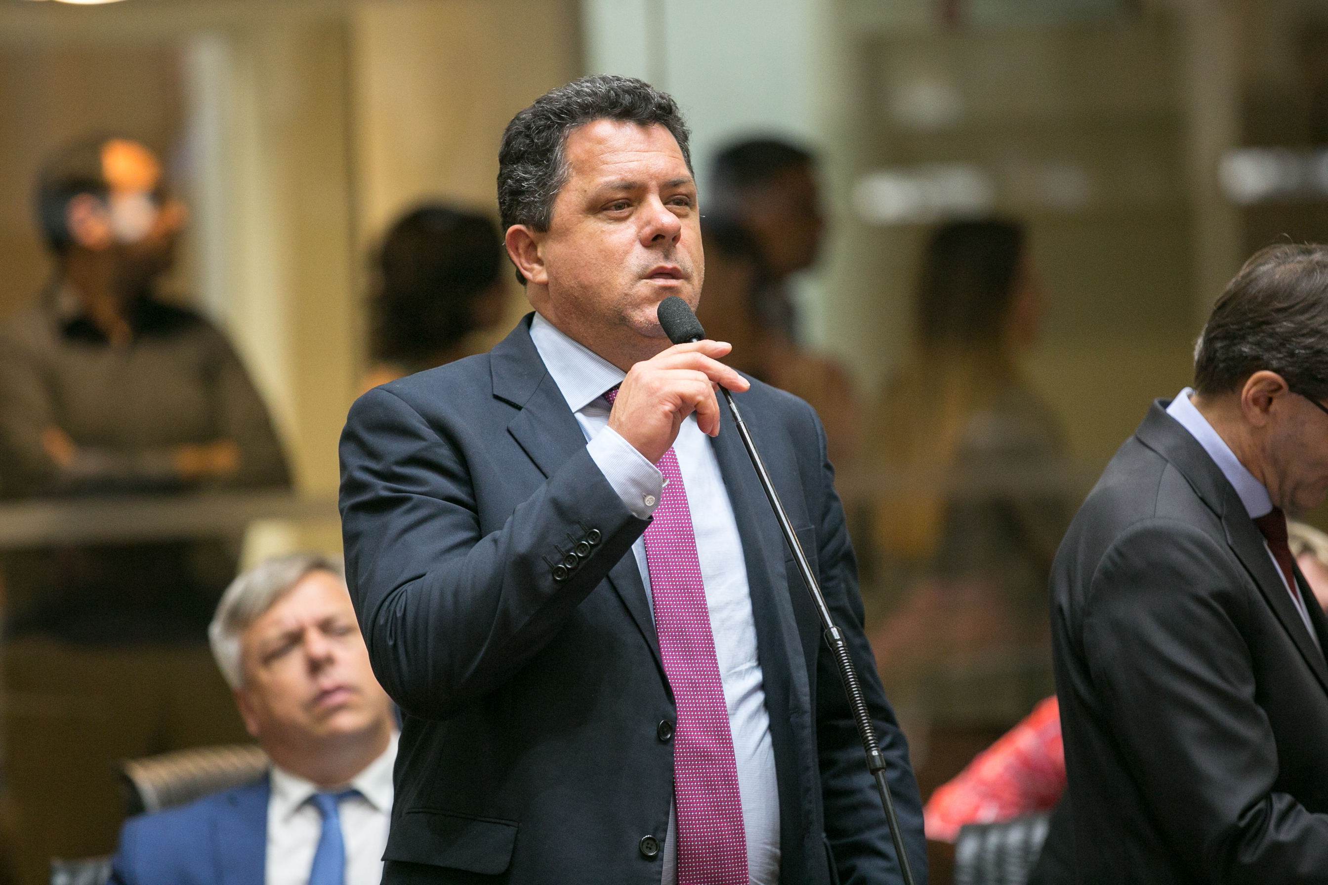 Deputado Ivan Naatz (PV)