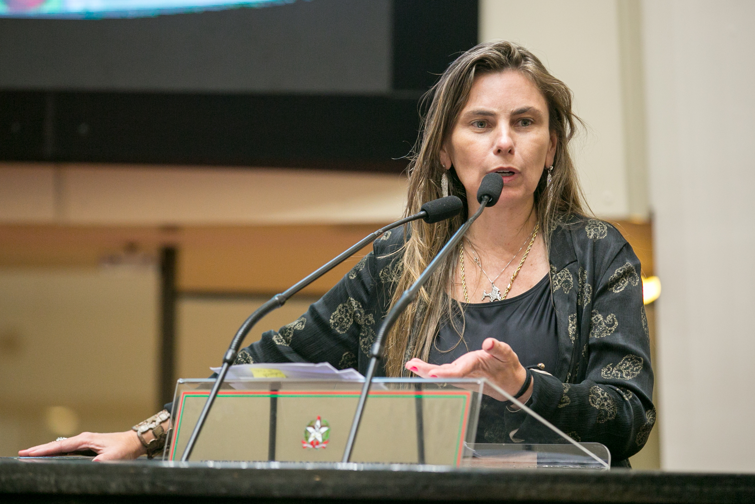Deputada Paulinha (PDT)