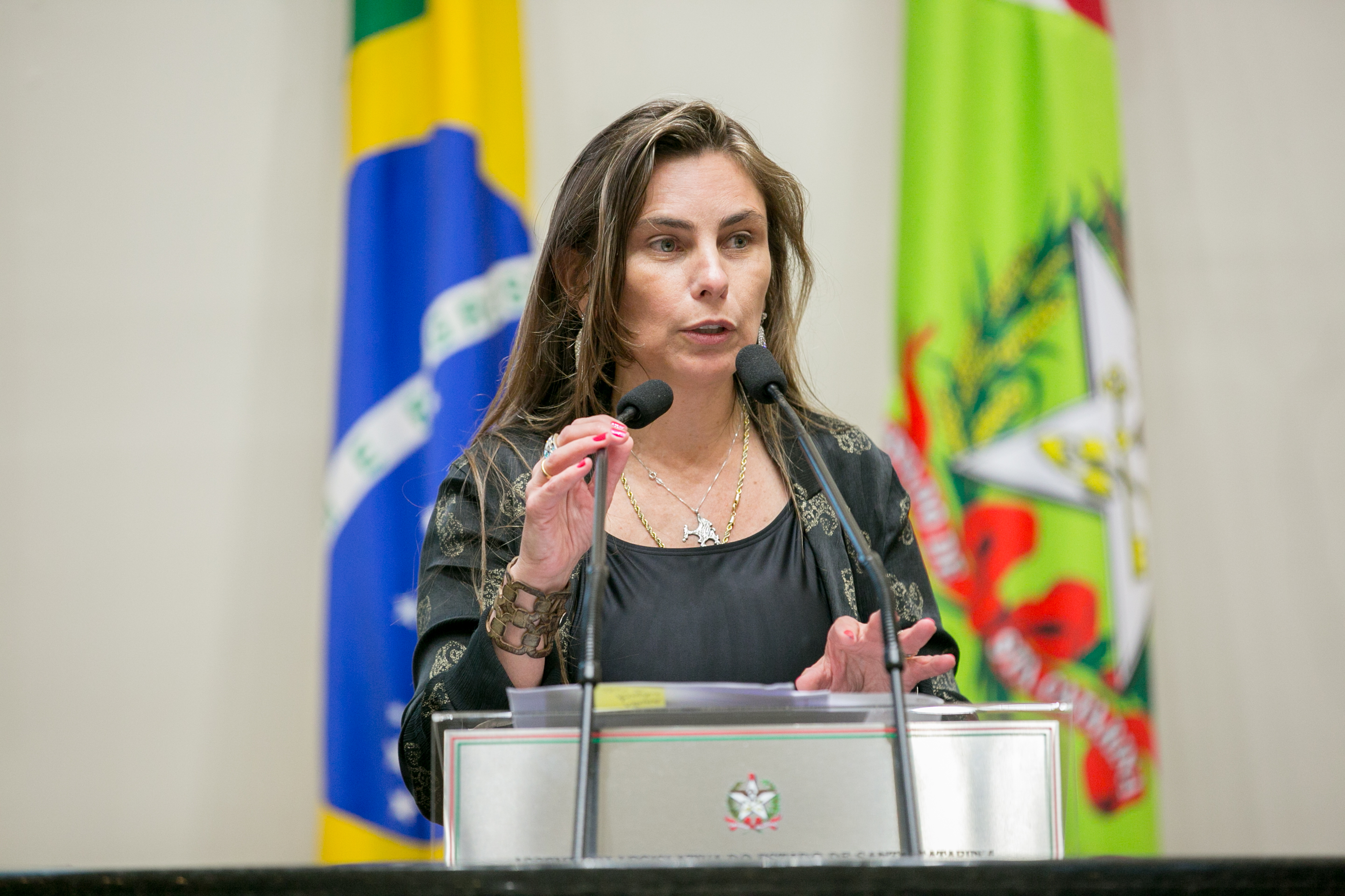 Deputada Paulinha (PDT)