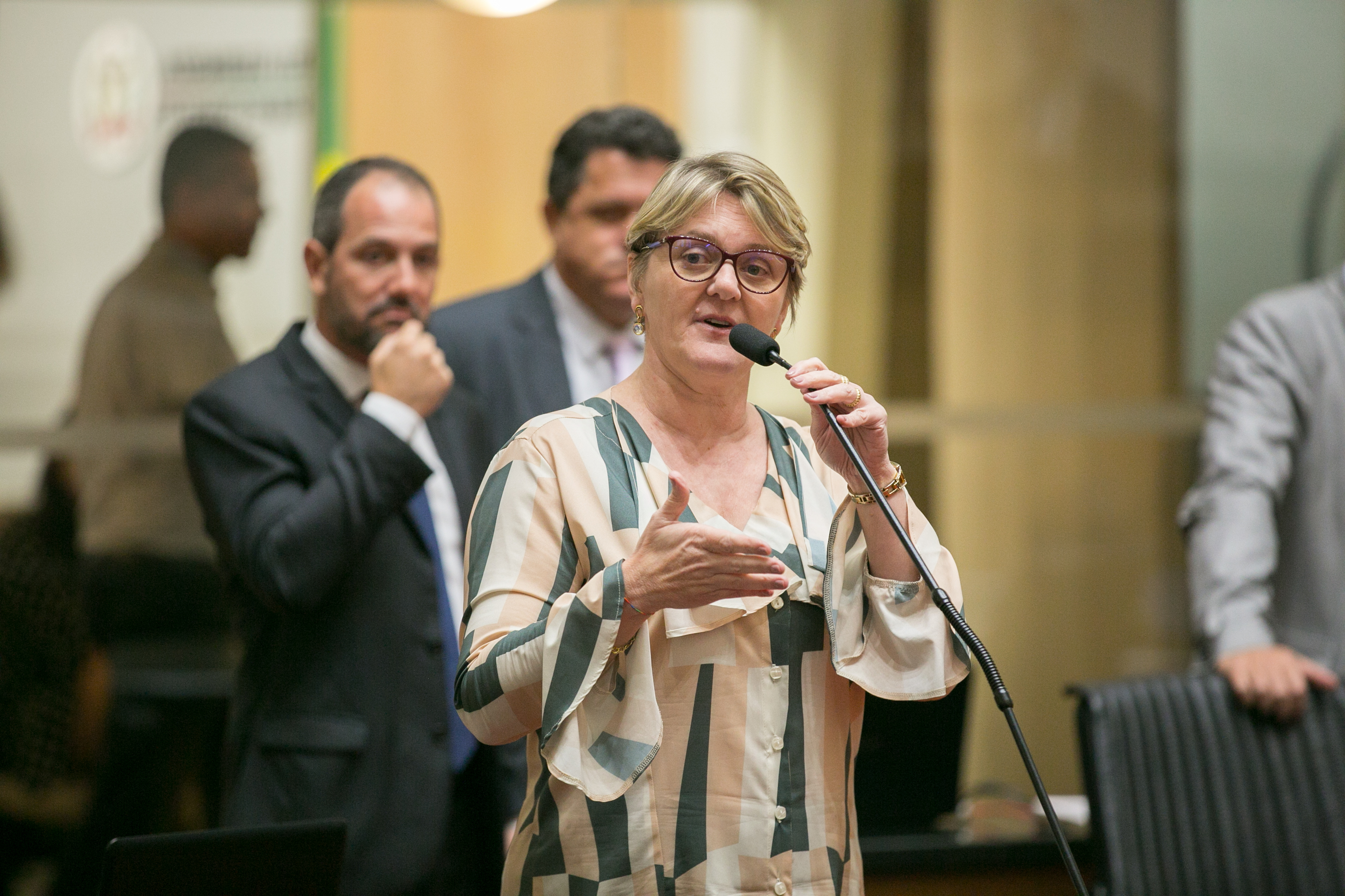 Deputada Luciane Carminatti (PT)
