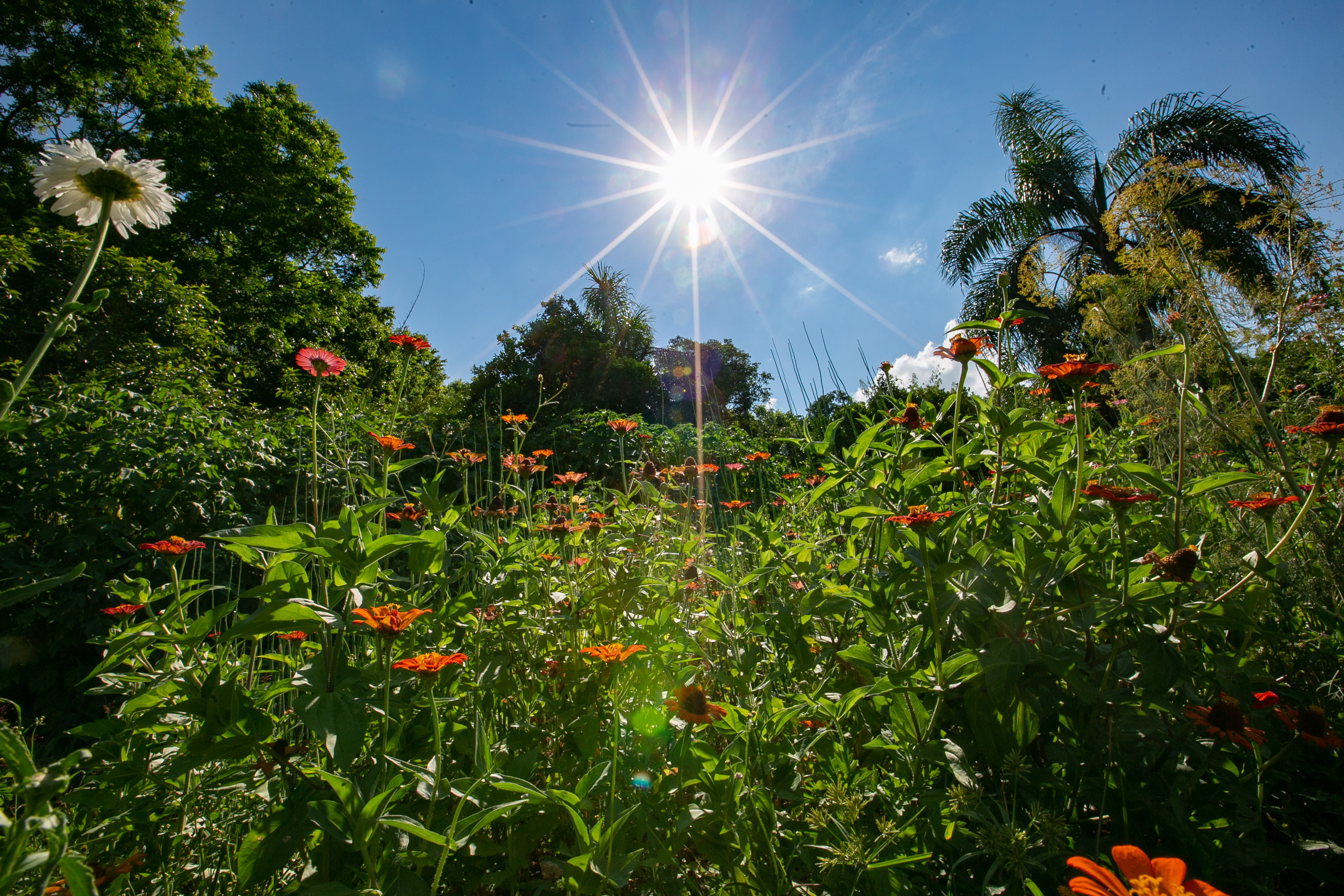 ESPECIAL Cicloturismo no Oeste - Hortos e plantas medicinais