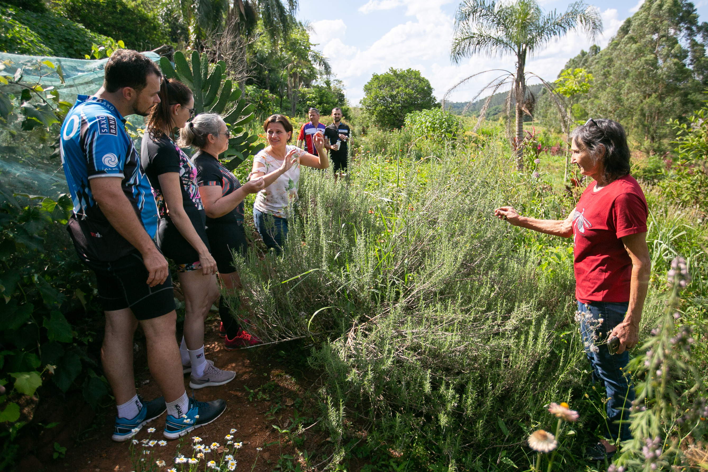 ESPECIAL Cicloturismo no Oeste - Hortos e plantas medicinais