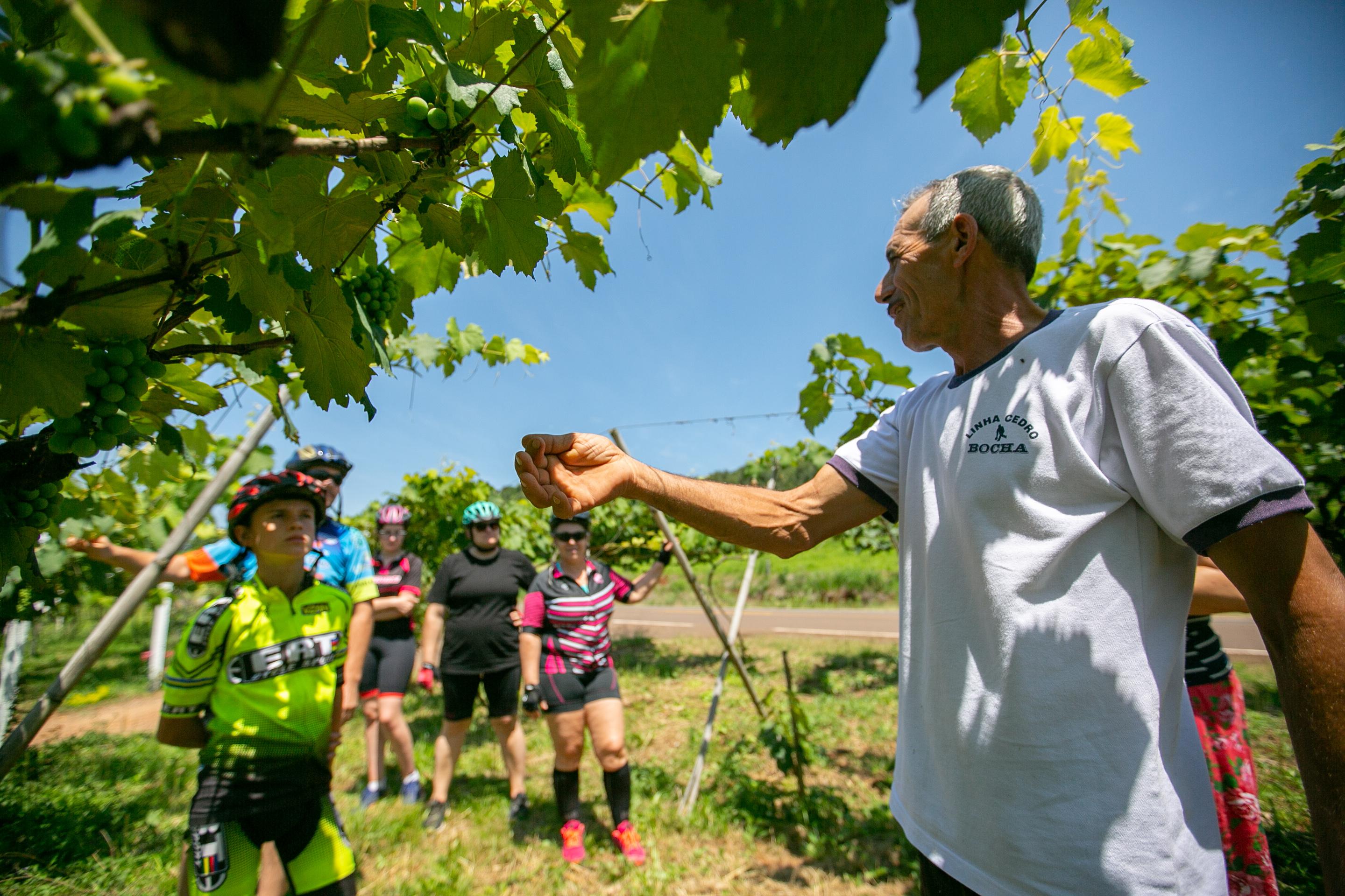 ESPECIAL Cicloturismo no Oeste - Vinícolas
