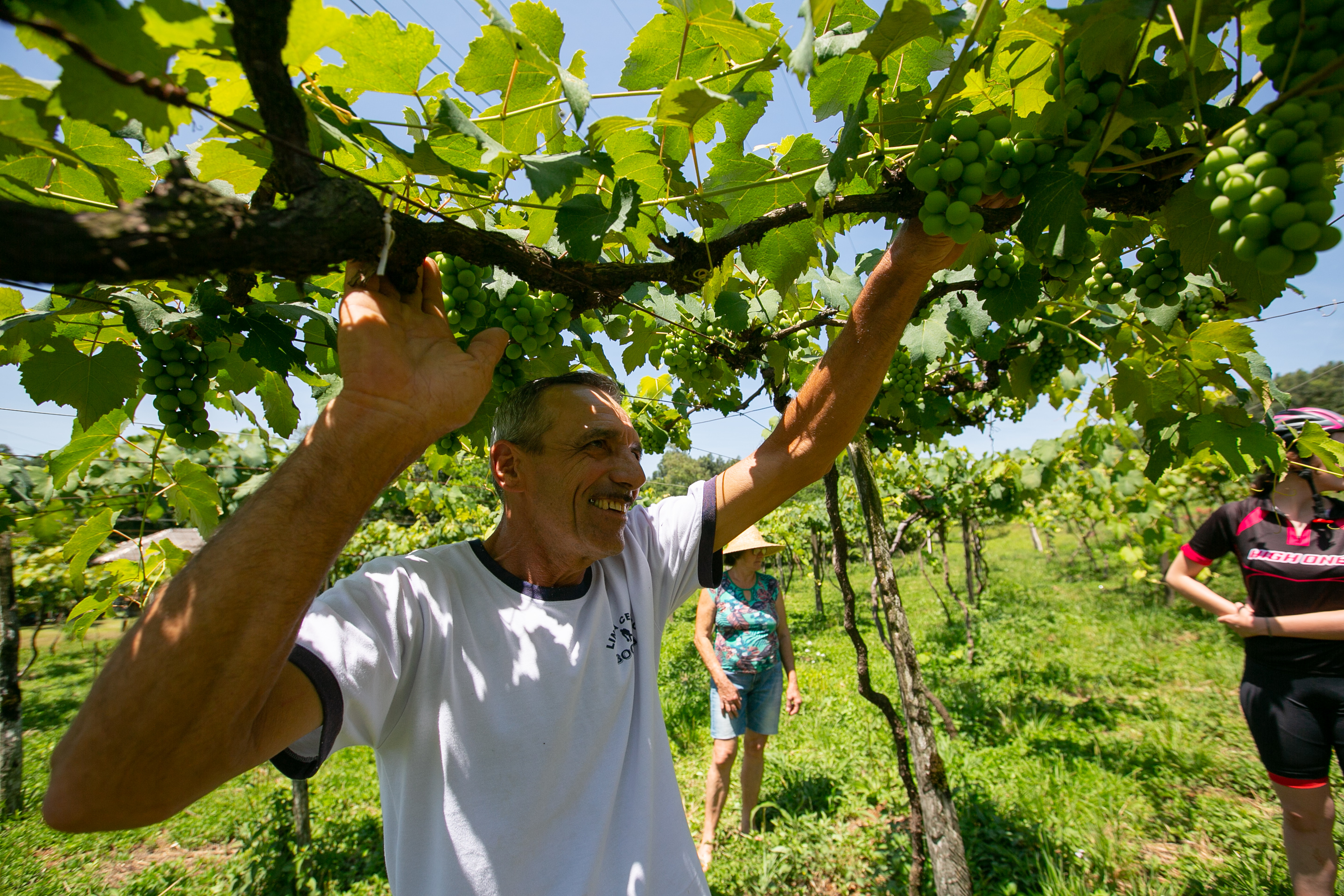 ESPECIAL Cicloturismo no Oeste - Vinícolas - Produtor José Bottega