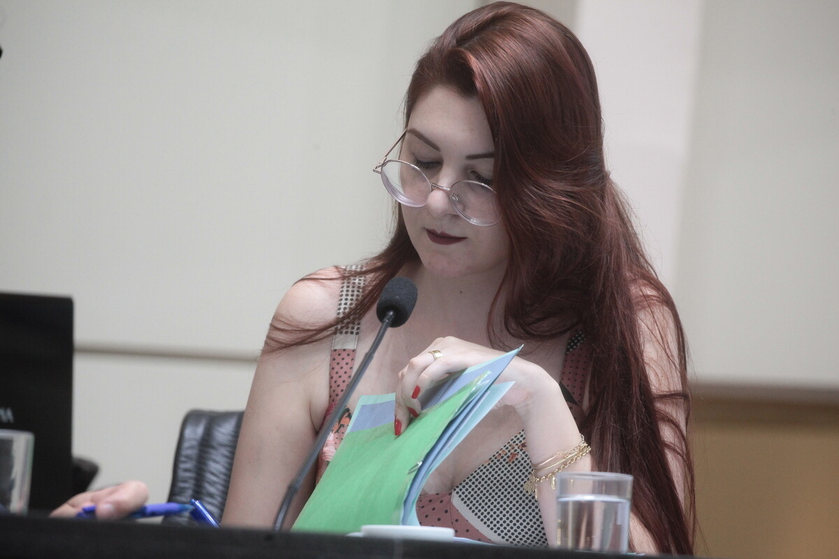 Ana Campagnolo defende Educação em Comissão de Constituição e Justiça