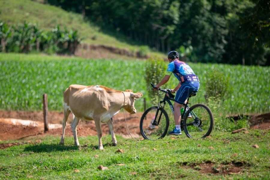 Confira a galeria de fotos da rota do cicloturismo e da rota de aromas