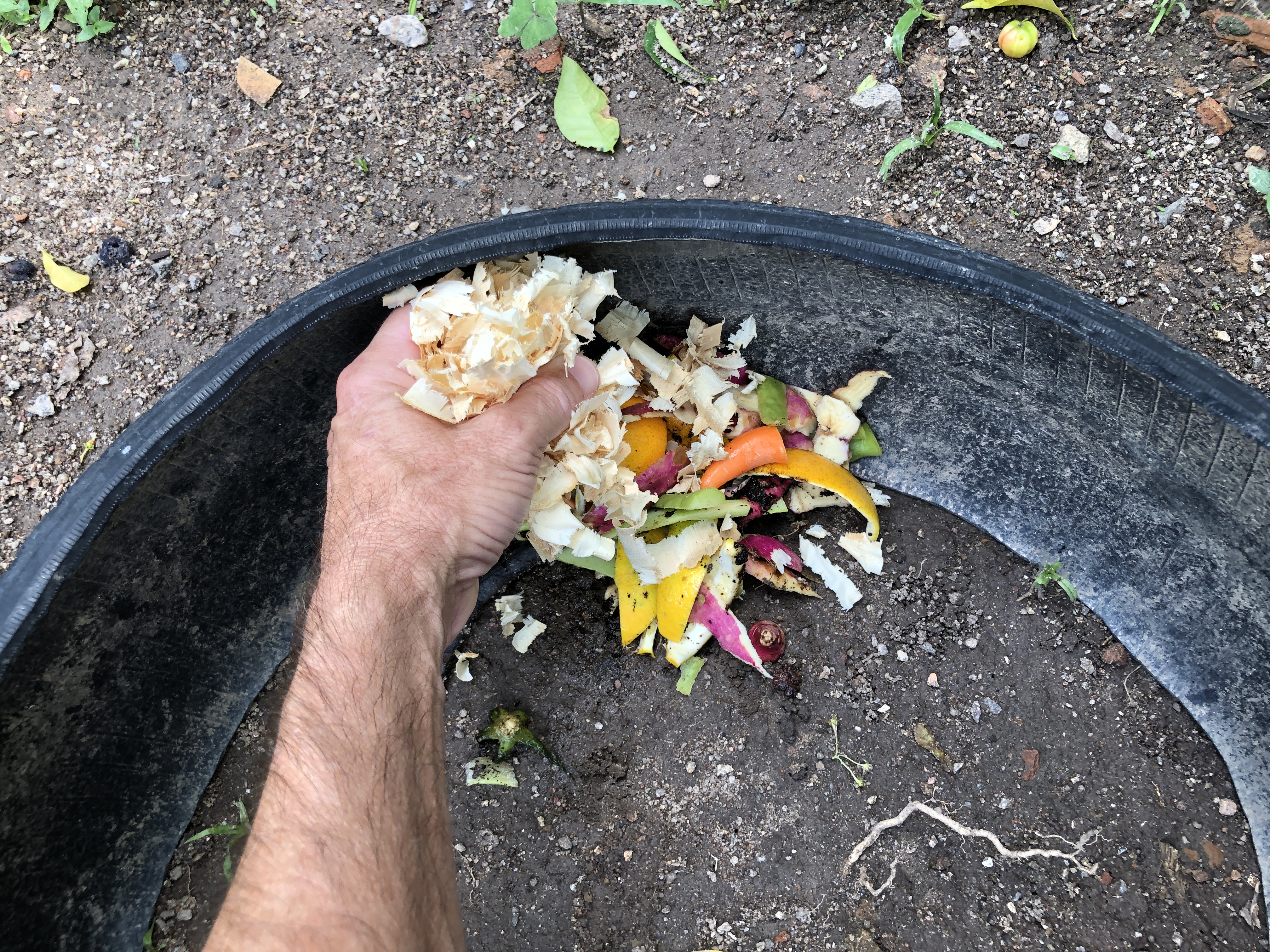 Palestras do Lixo Orgânico Zero no Oeste de SC - Compostagem
