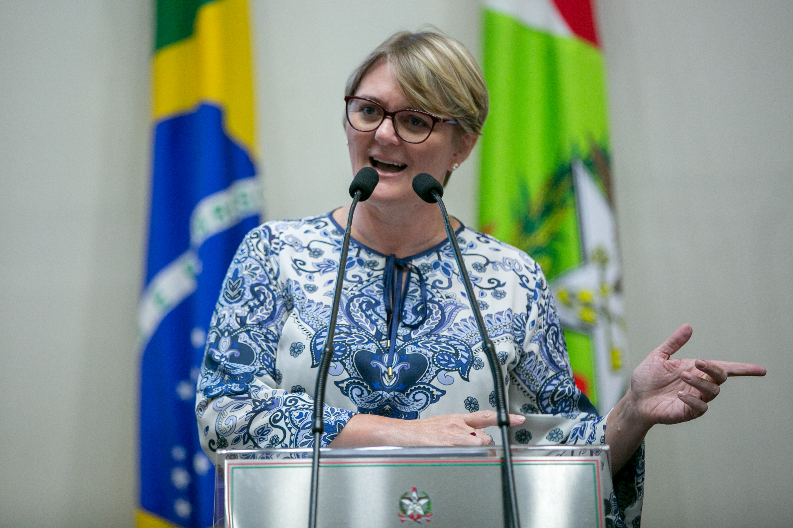 Deputada Luciane Carminatti (PT)