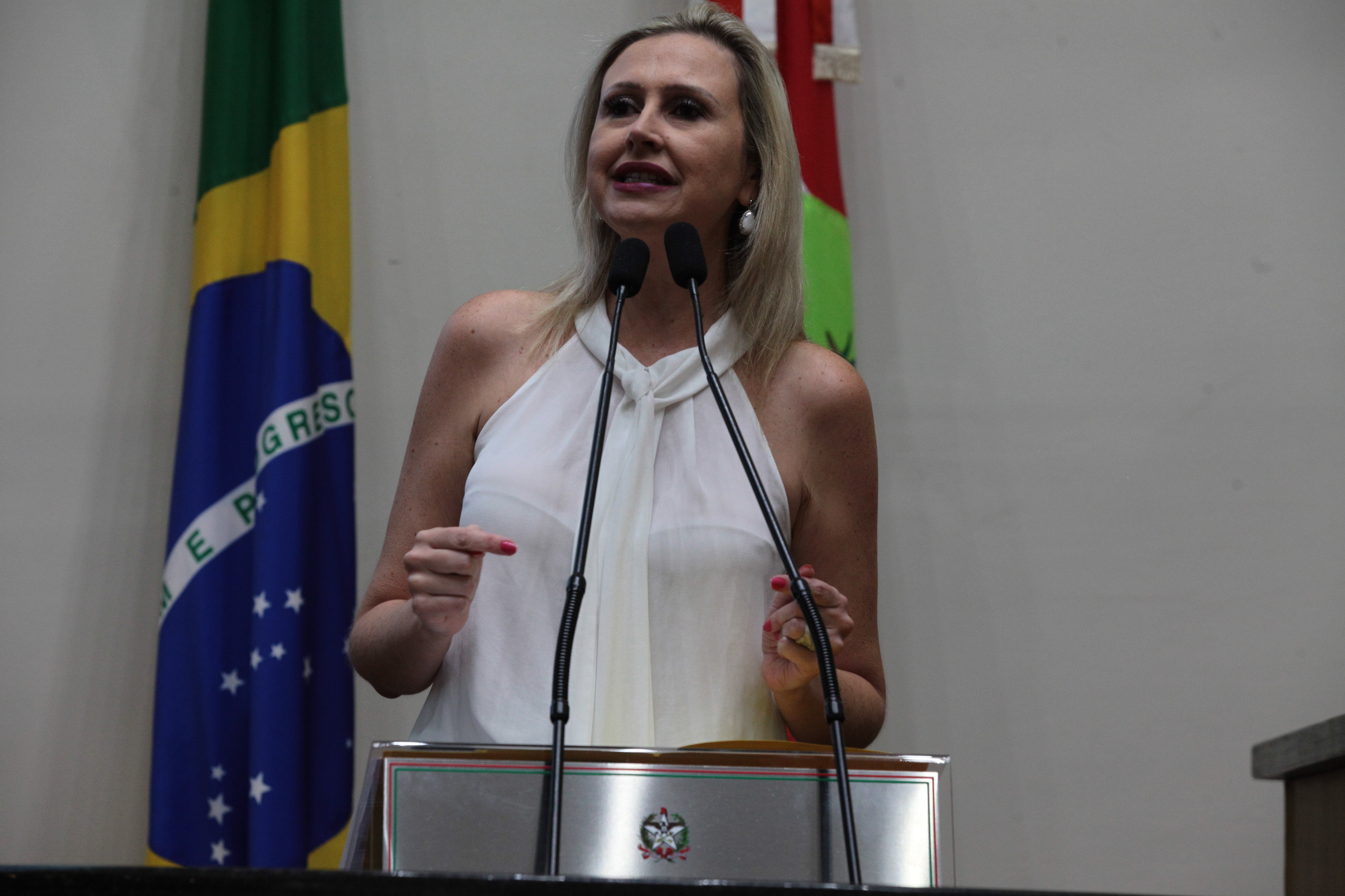 Sessão Plenária em 12/02/2020 - Deputadan Anna Carolina (PSDB)