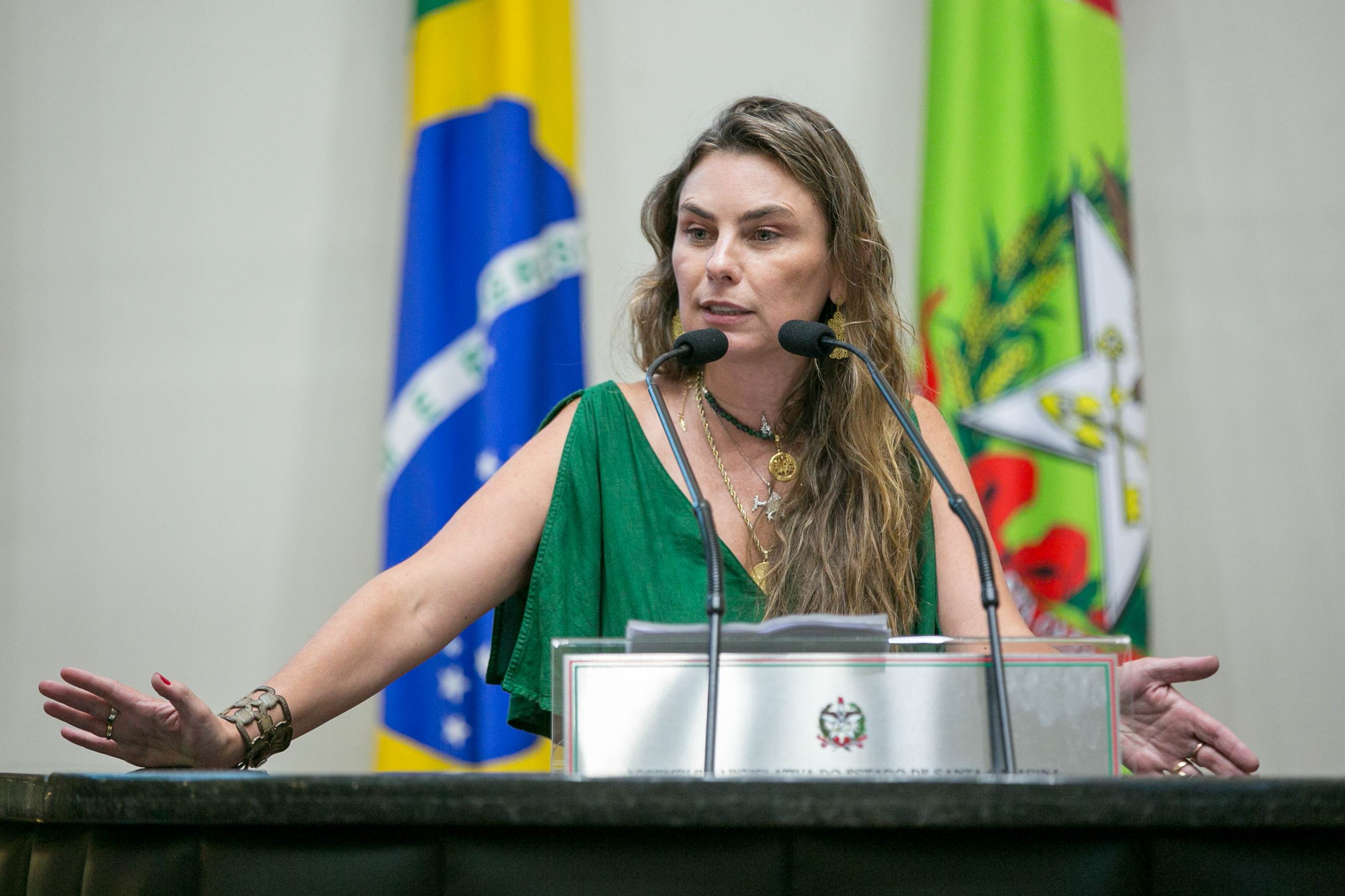 Deputada Paulinha (PDT)