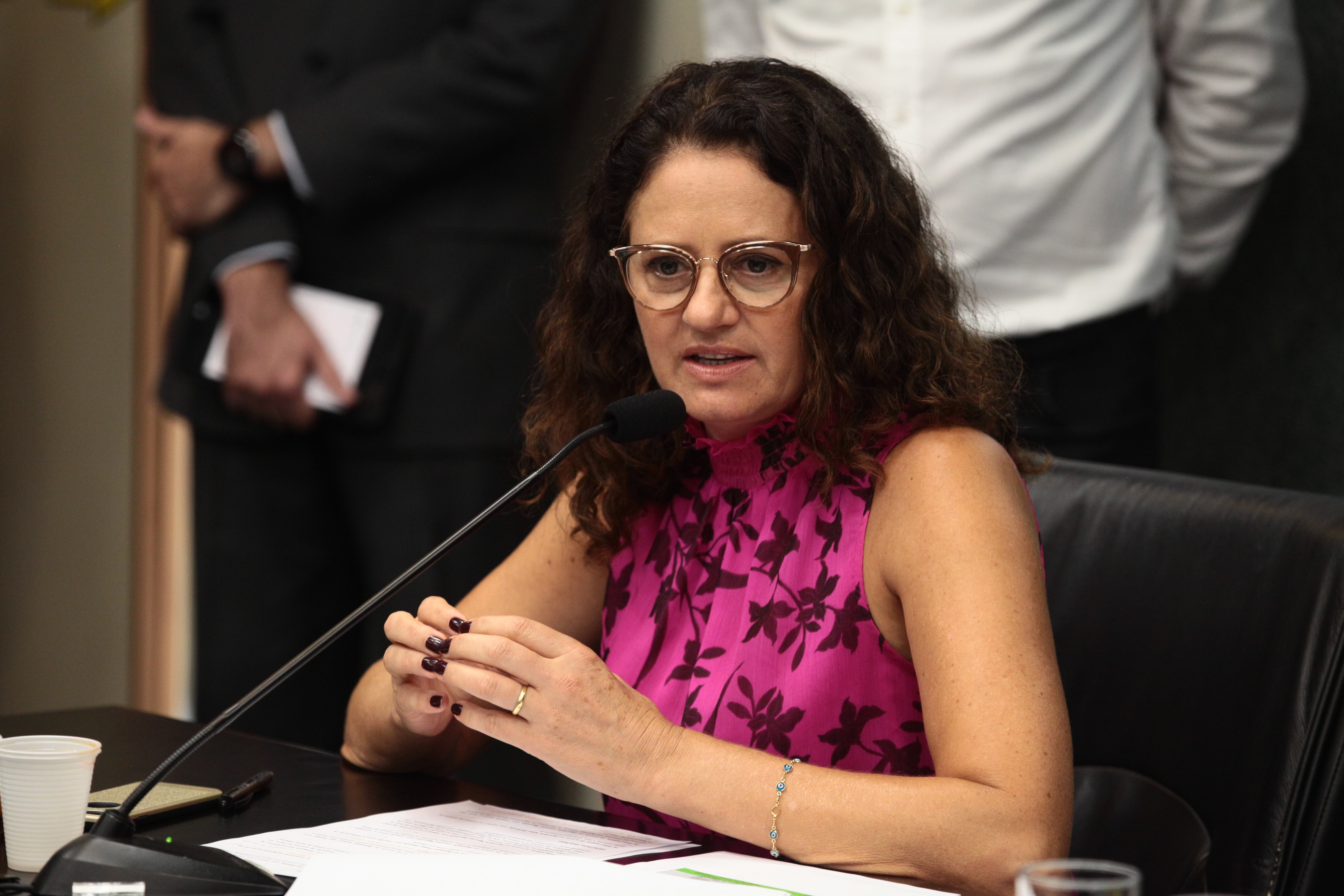 Comissão de Constituição e Justiça