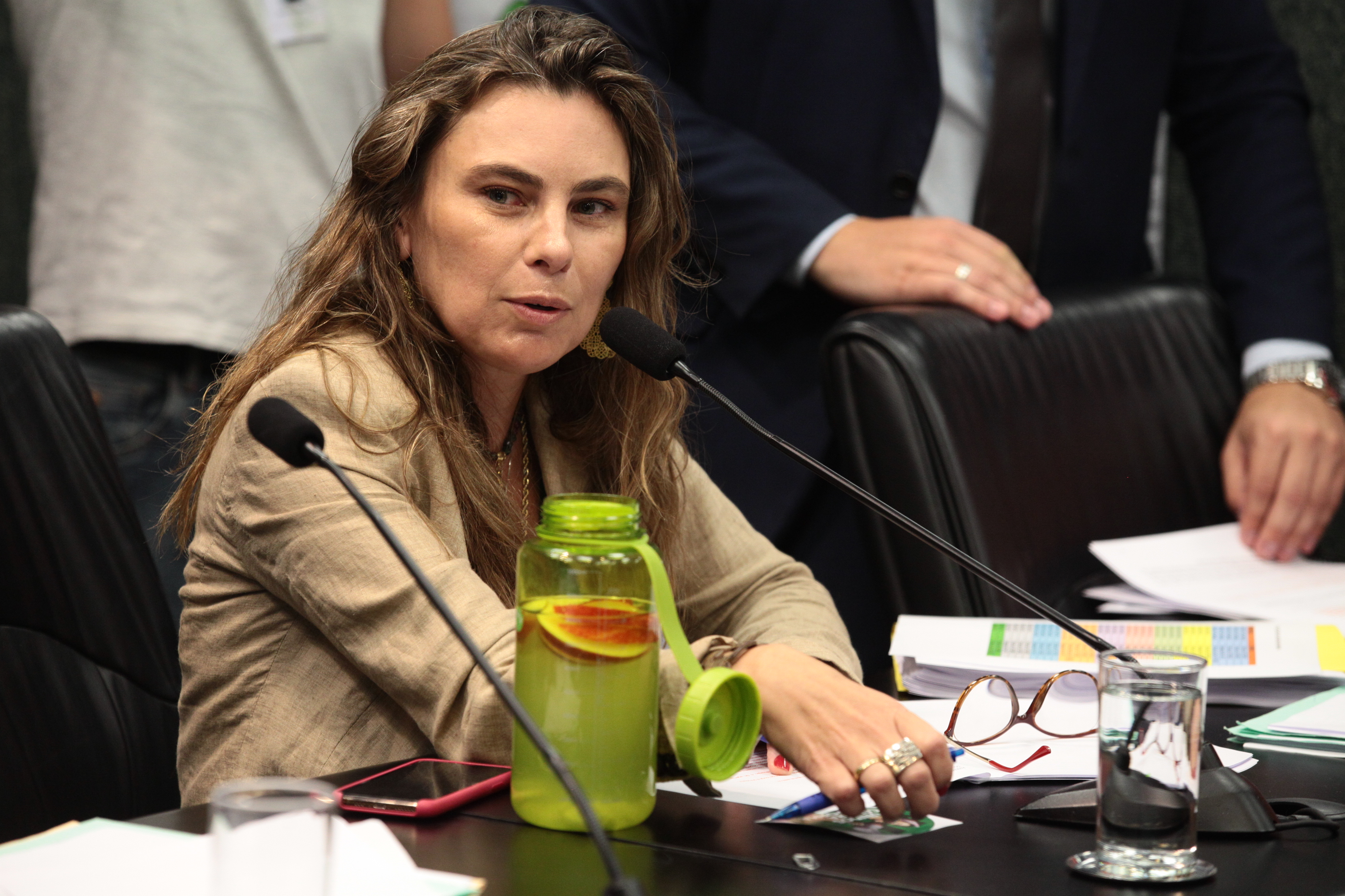 Comissão de Constituição e Justiça
