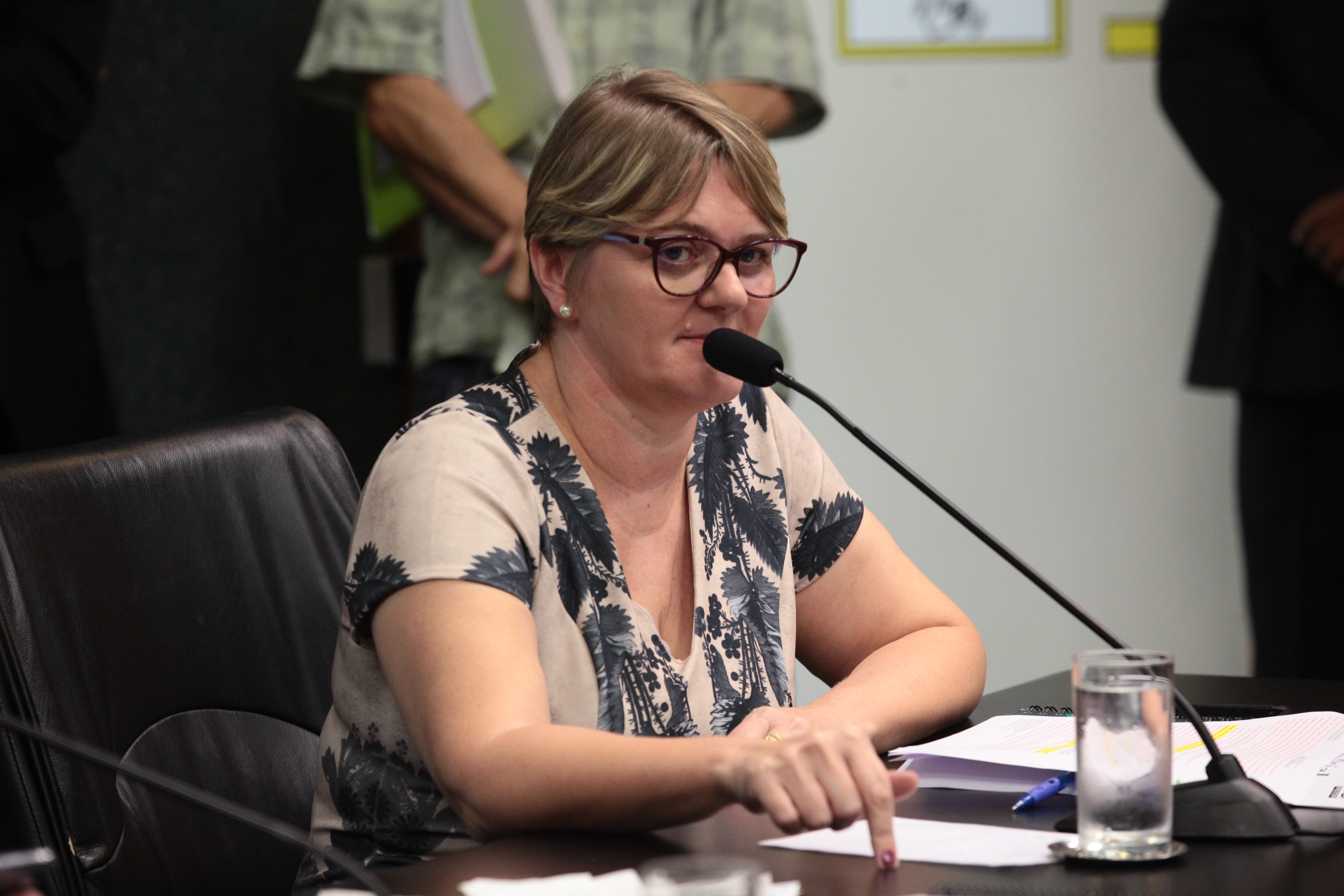 Comissão de Finanças e Tributação - Deputada Luciane Carminatti (PT)