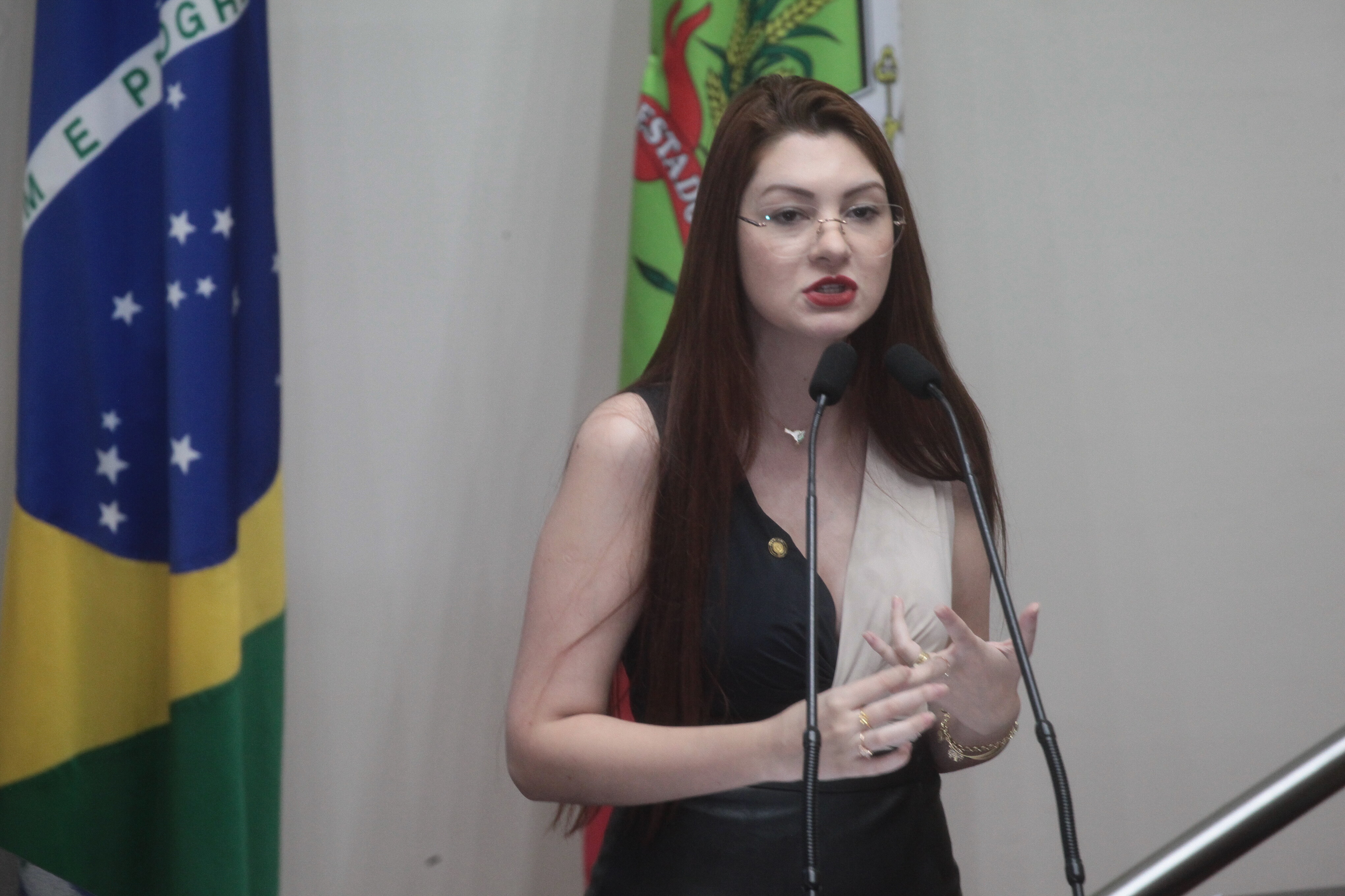 Deputada Campagnolo retoma pauta Escola Sem Partido