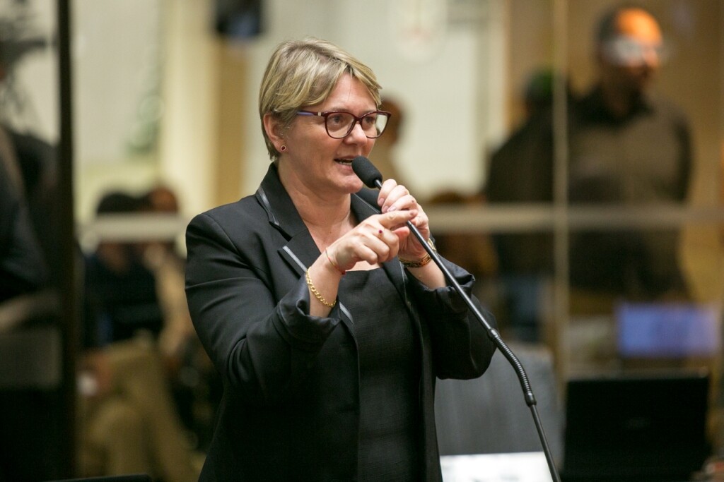 Deputada Luciane Carminatti