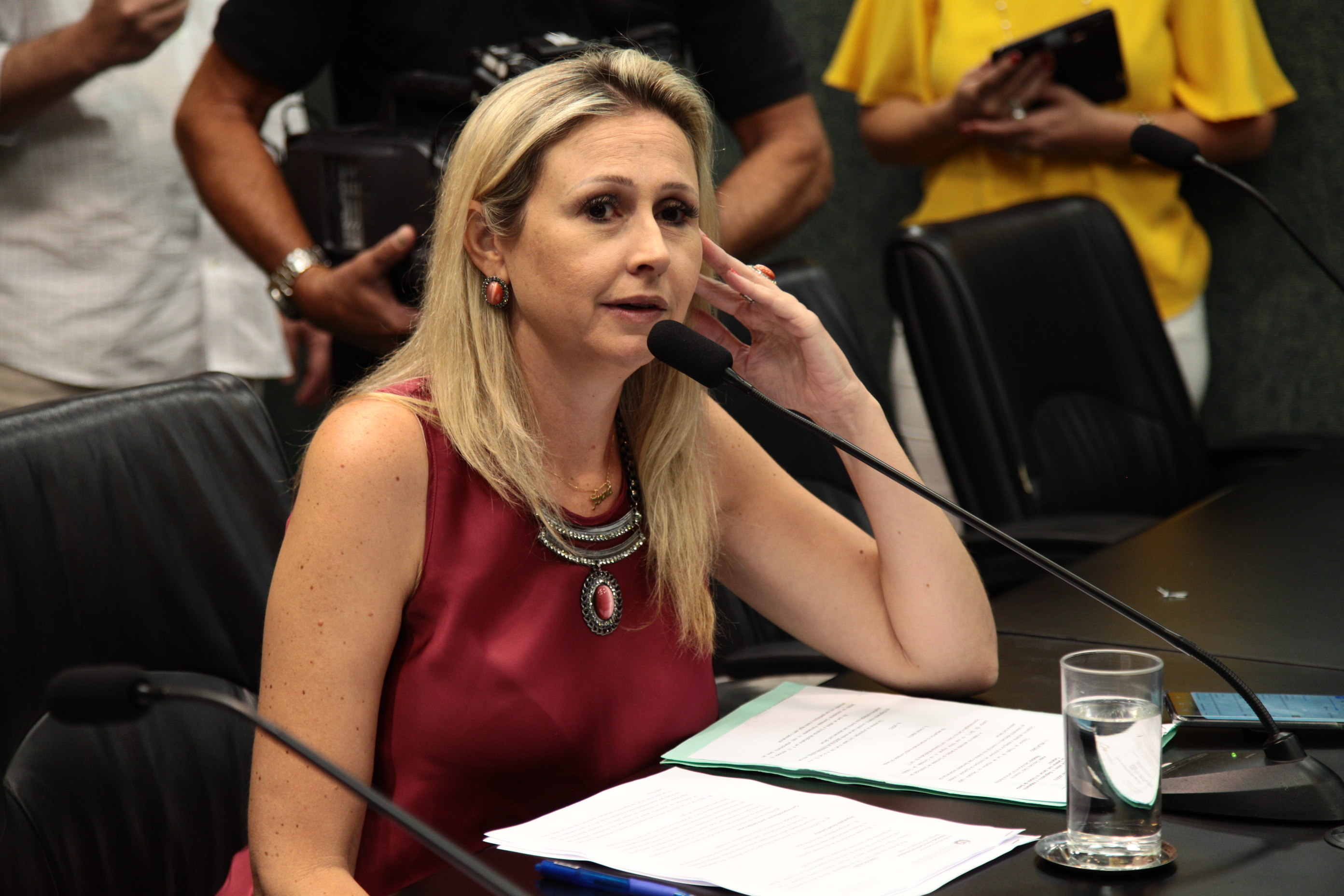 Comissão de Saúde - Deputada Ana Carolinna (PSDB)