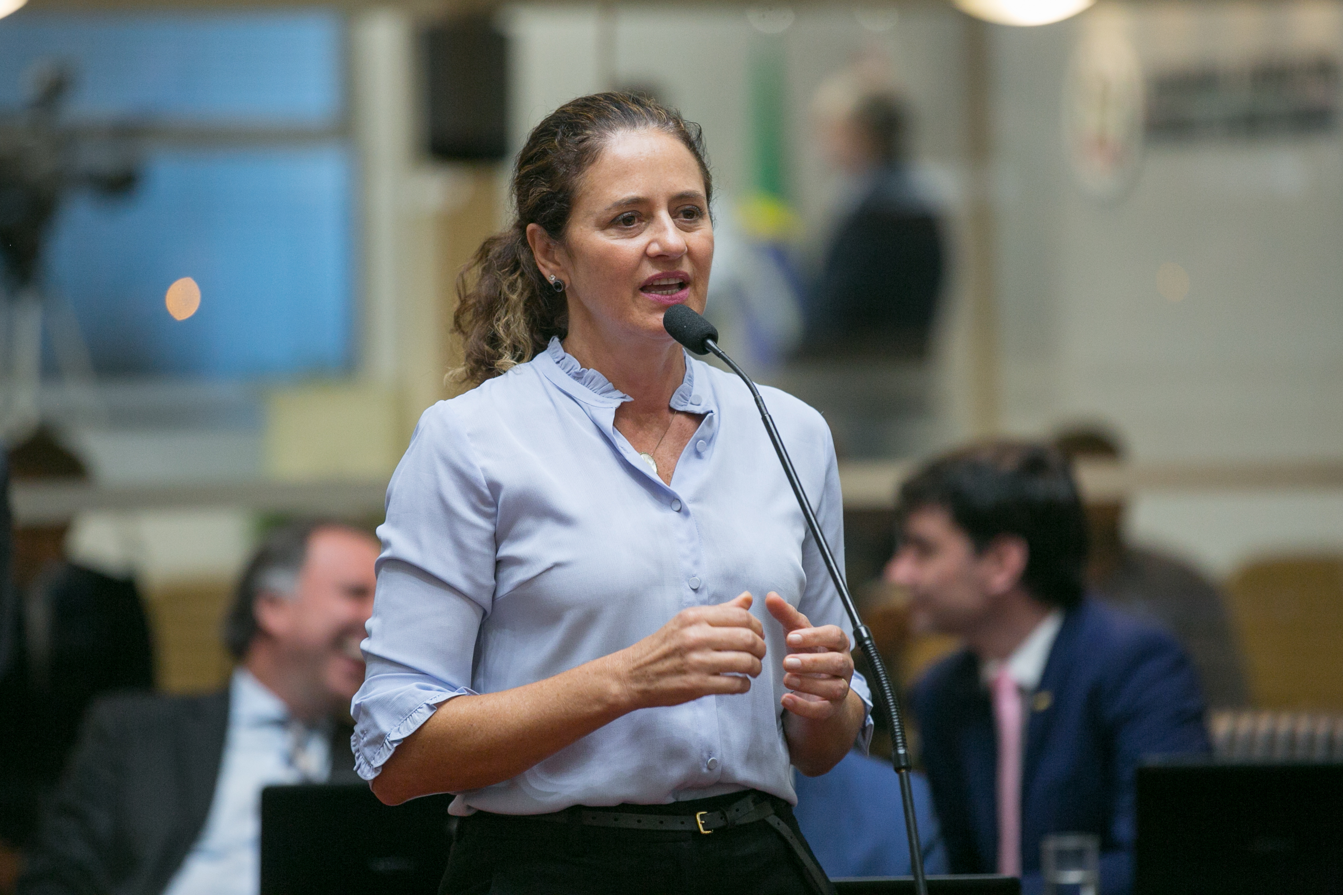 Deputada Marlene Fengler (PSD)