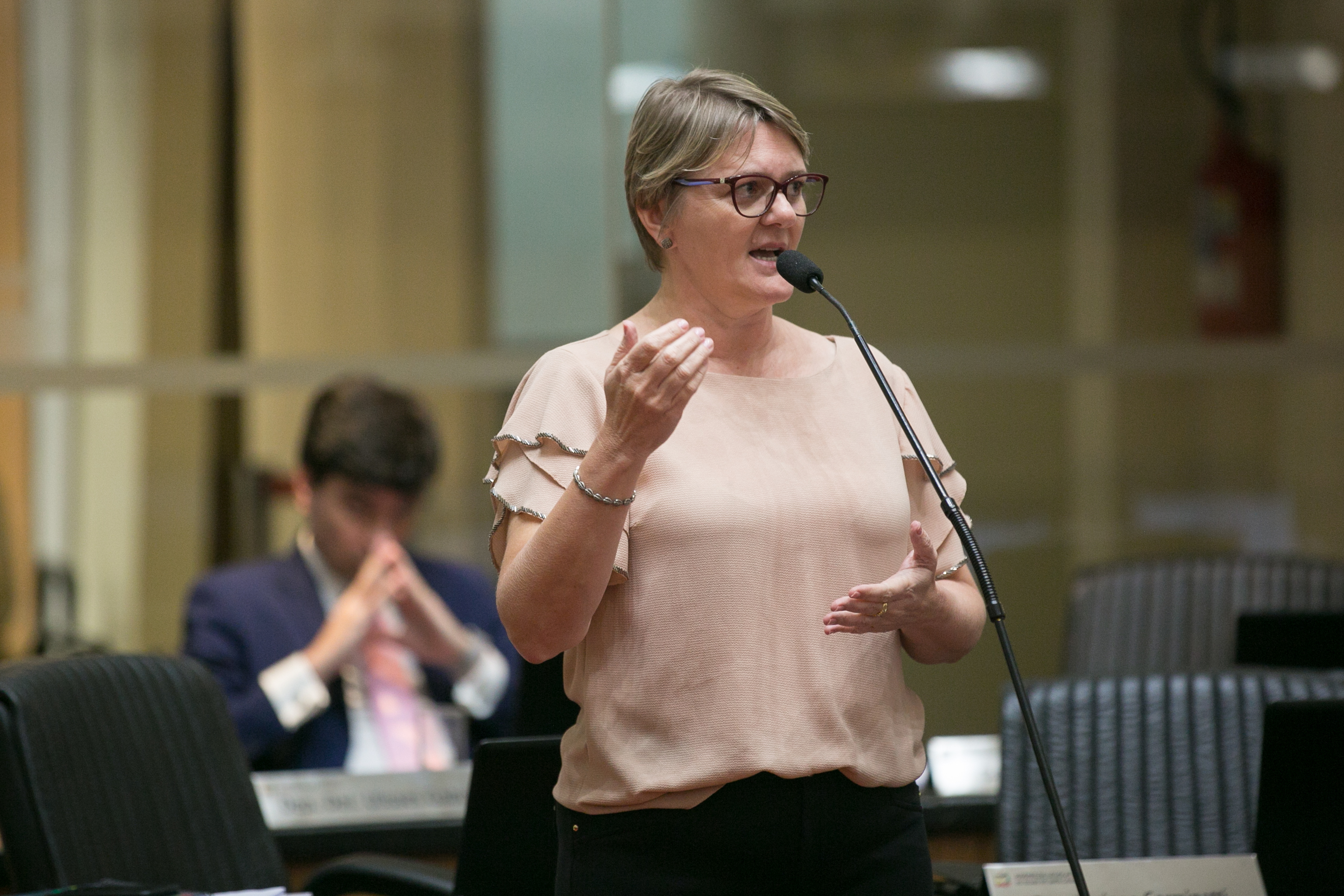Deputada Luciane Carminatti (PT)