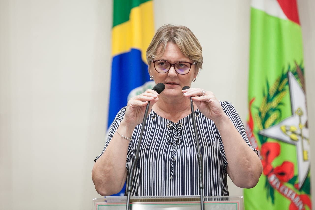 Luciane apela a BNDES por mais recursos para SC durante Covid-19