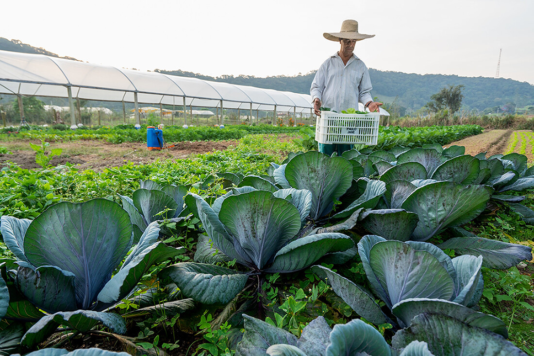 Projetos buscam apoio a agricultores e pequenos empreendimentos