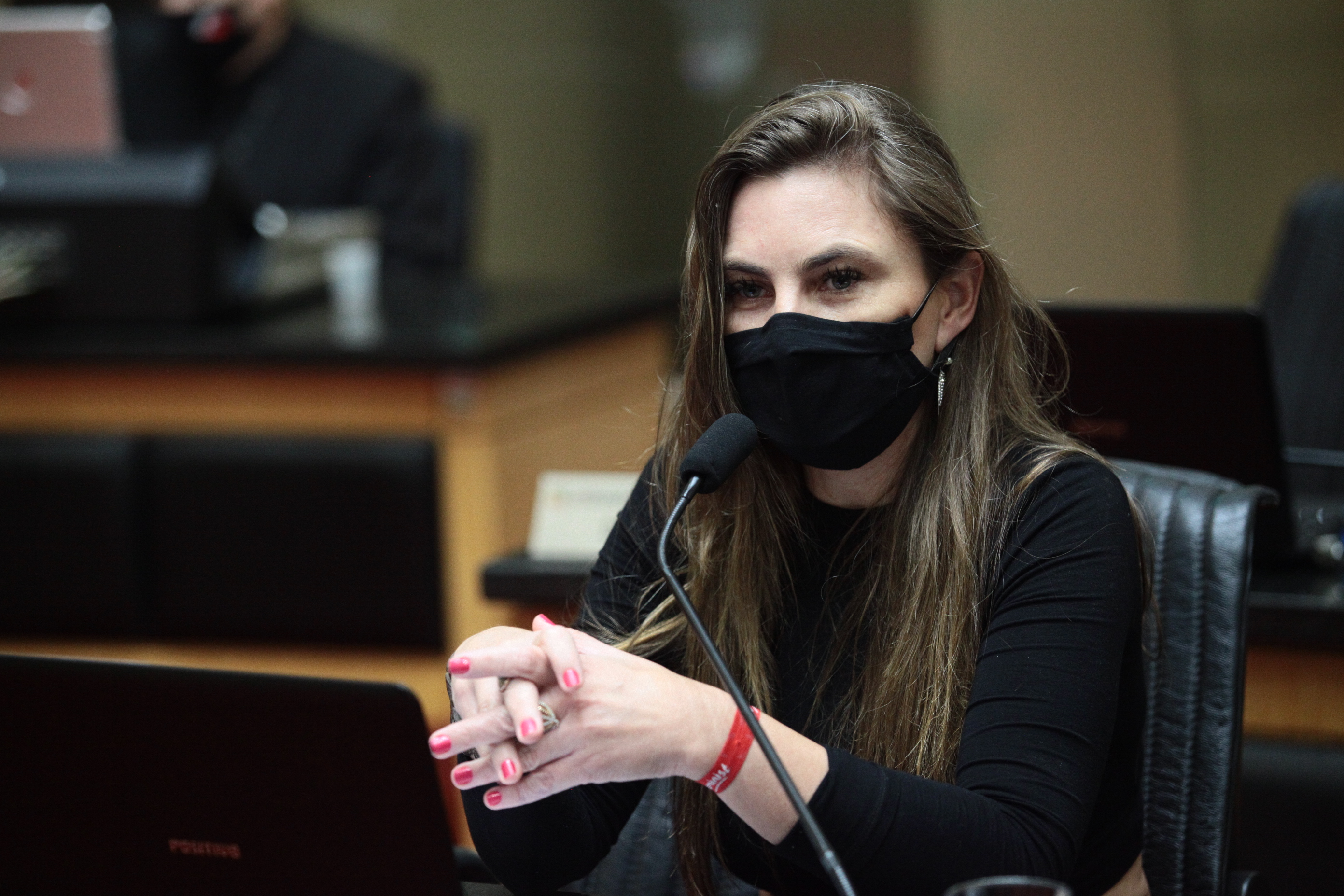 Sessão Plenária - Deputada Ana Paula da Silva (PDT)