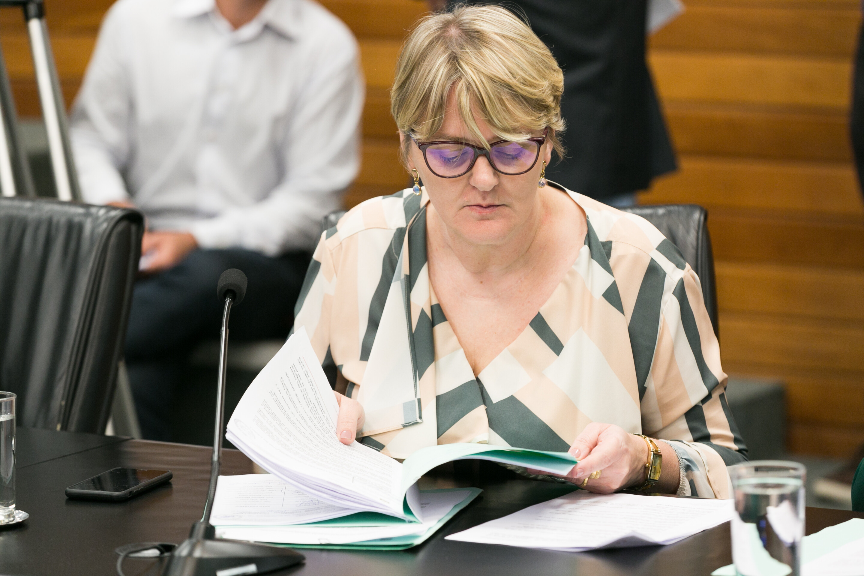 Deputada Luciane organiza comitê para Lei Aldir Blanc em SC