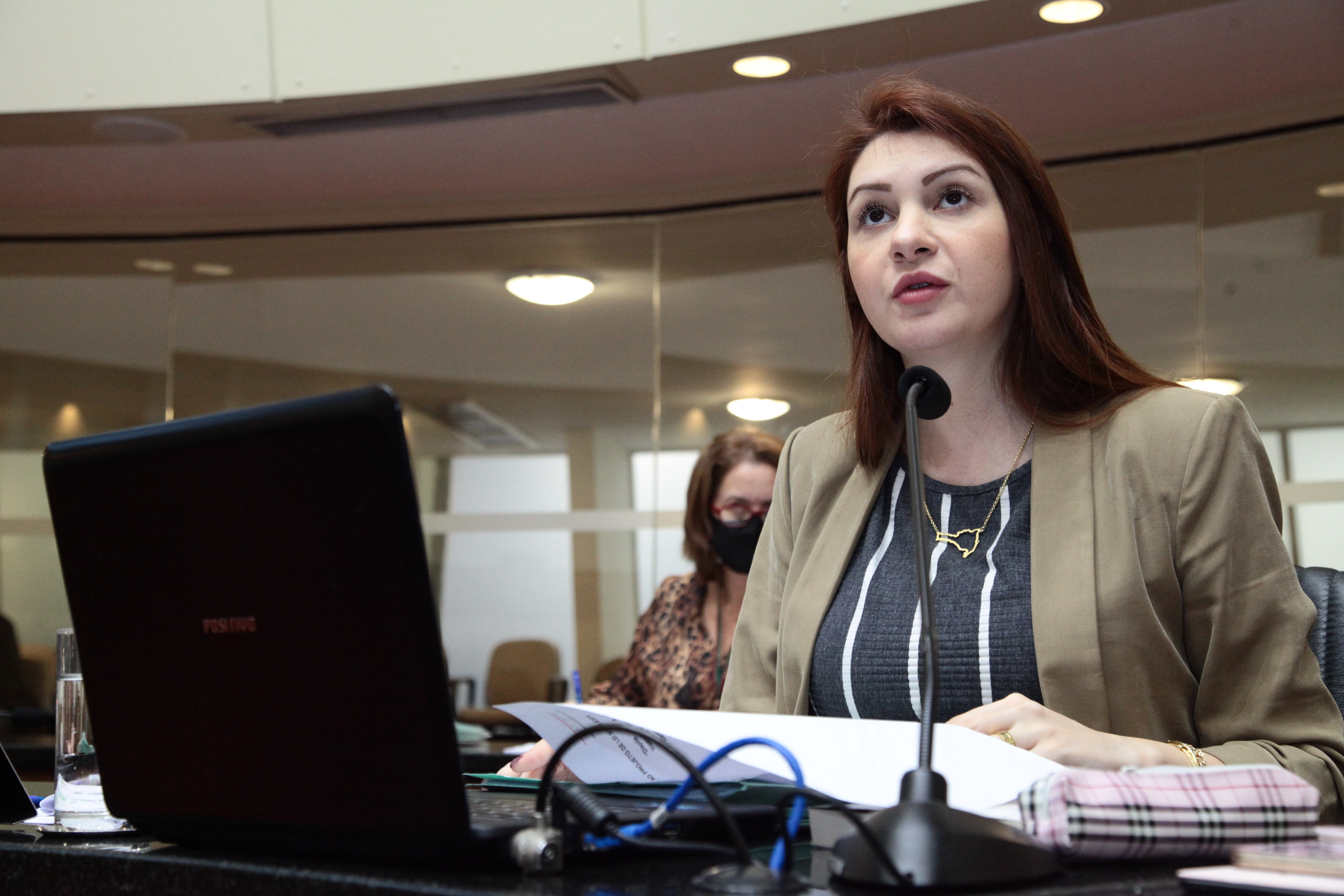Comissão de Constituição e Justiça - Deputada Ana Caroline Campagnolo (PSL)
