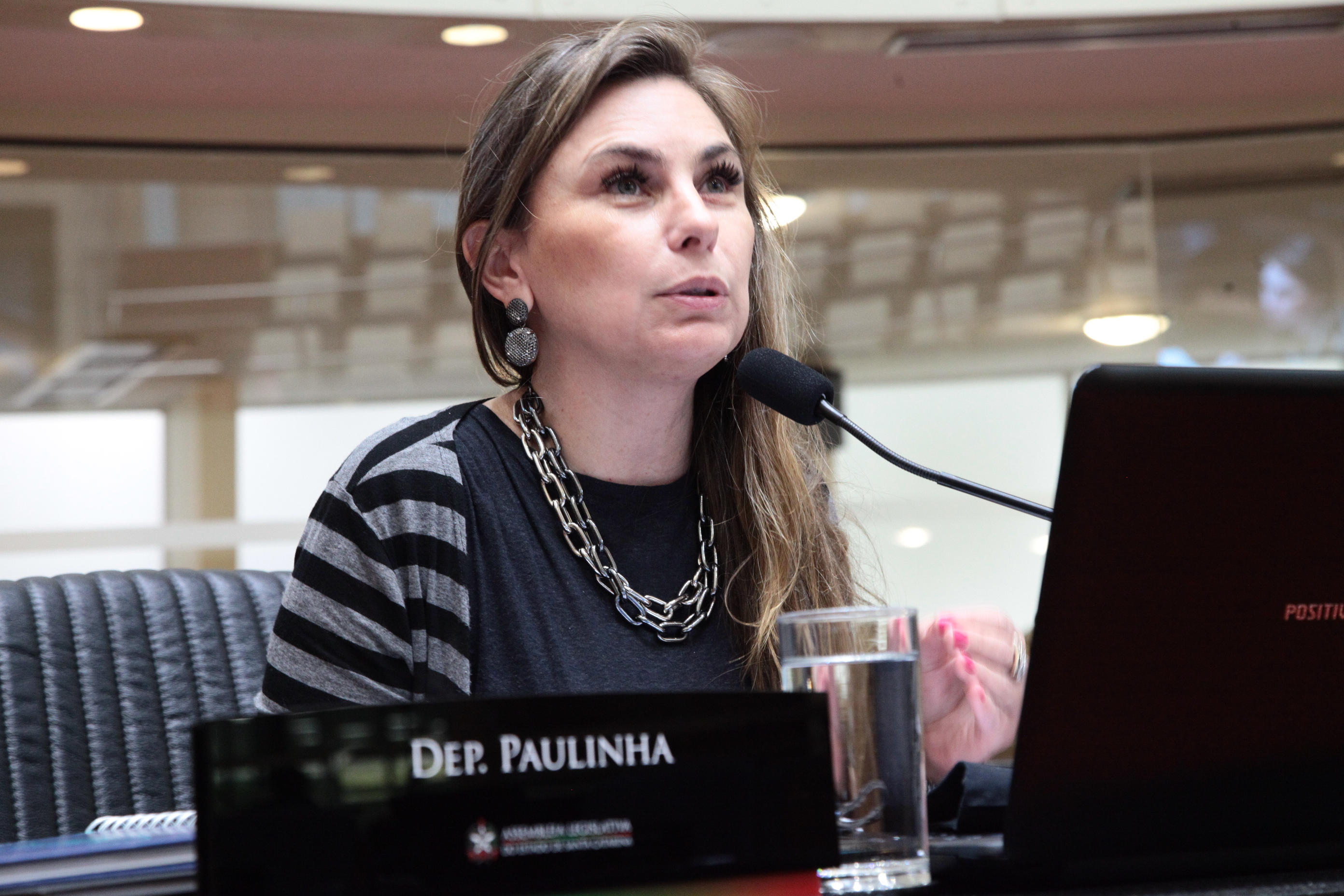 Sessão Plenária - Deputada Ana Caroline Campagnolo (PSL)
