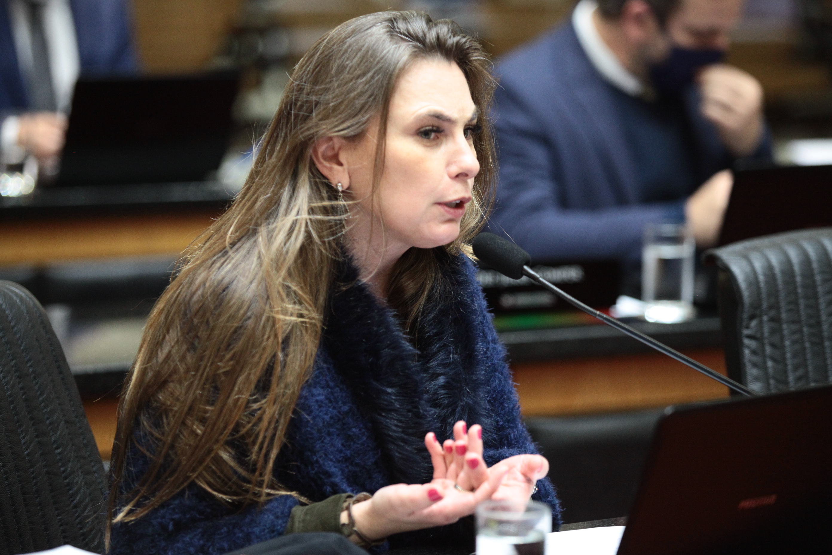 Sessão Plenária - Deputada Ana Paula da Silva (PDT)