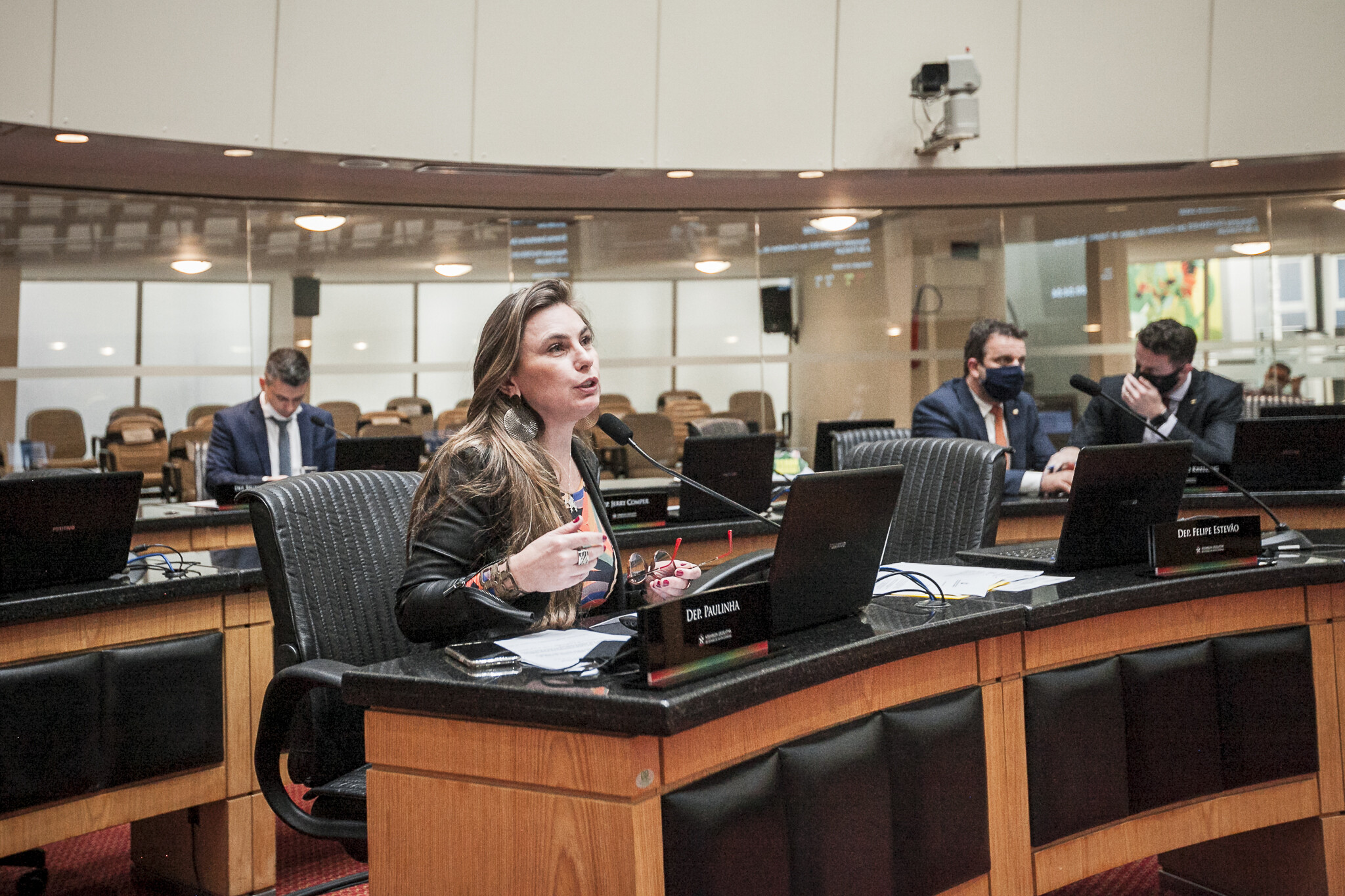 Deputada Paulinha
