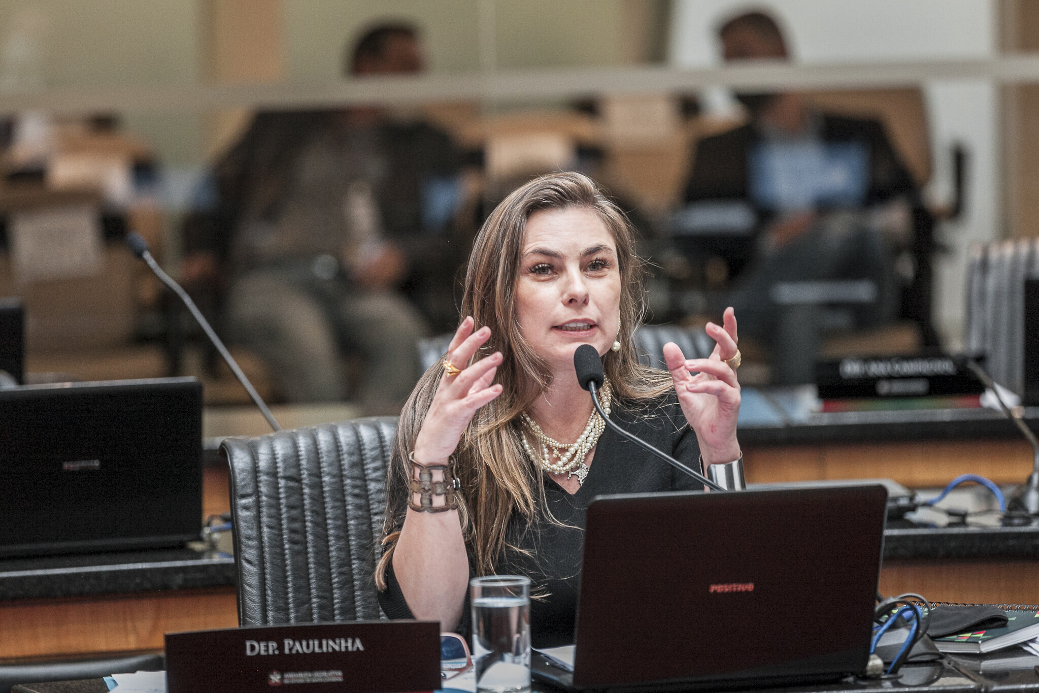 Deputada Paulinha