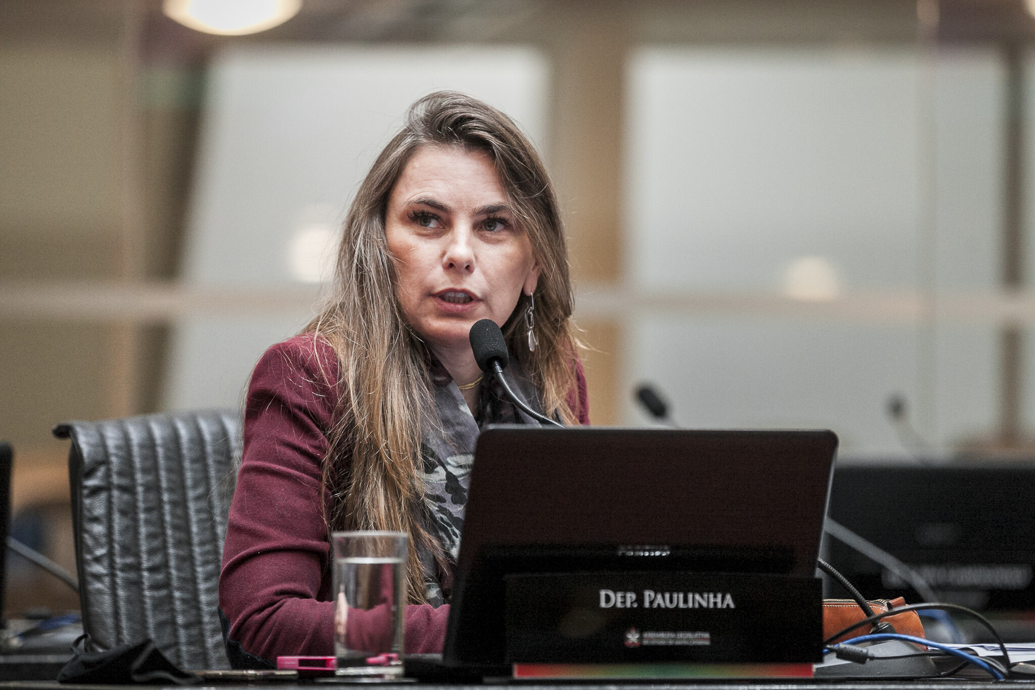 Deputada Paulinha