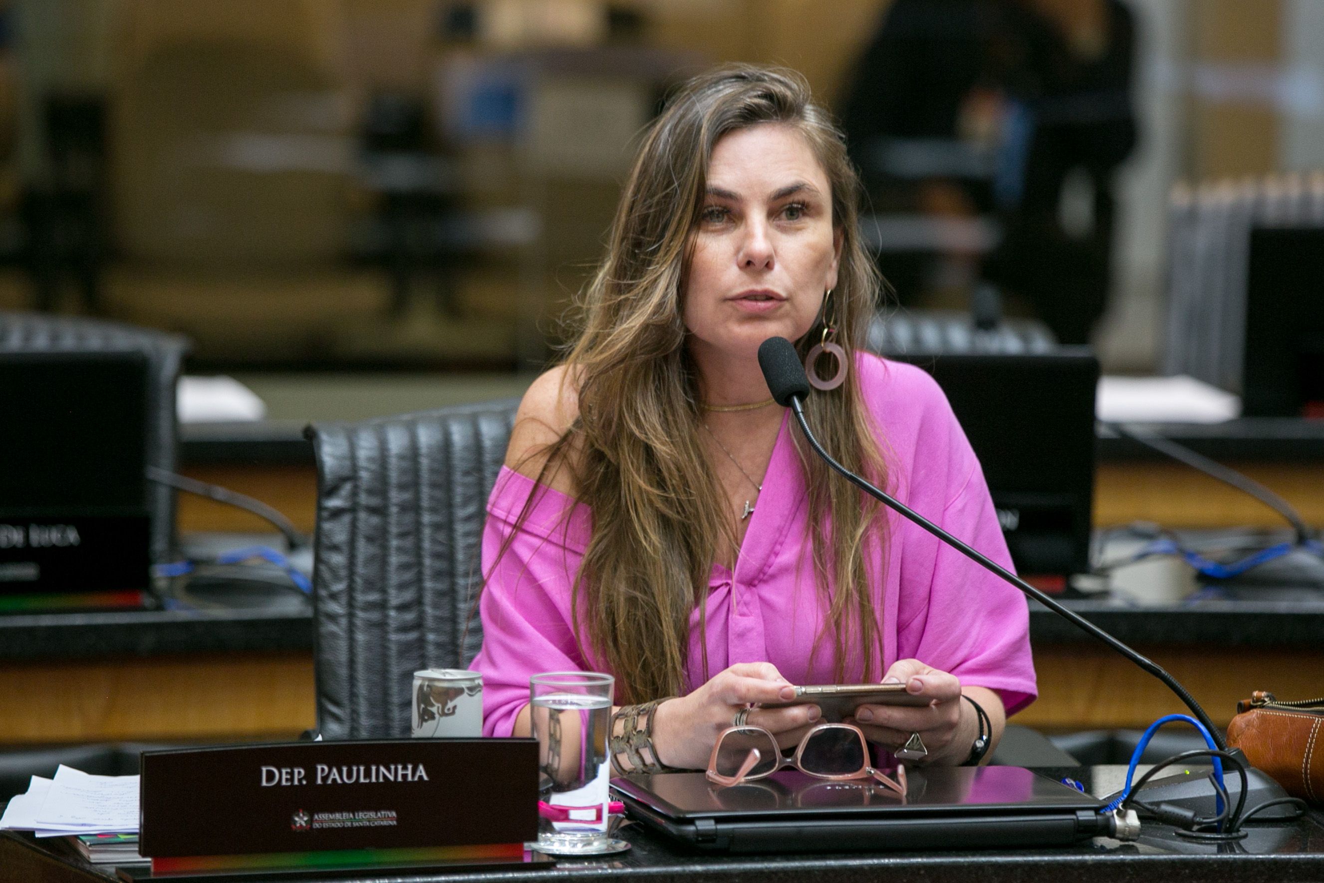 Deputada Paulinha (PDT)