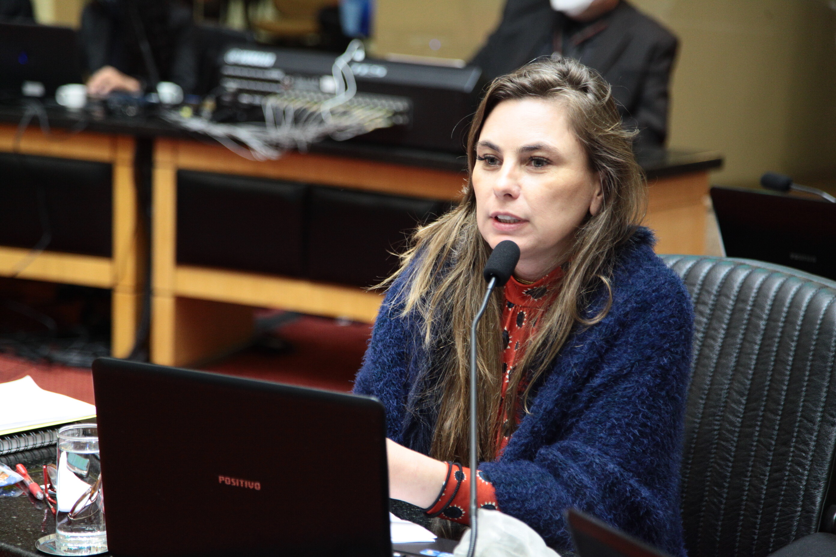 Deputada Paulinha