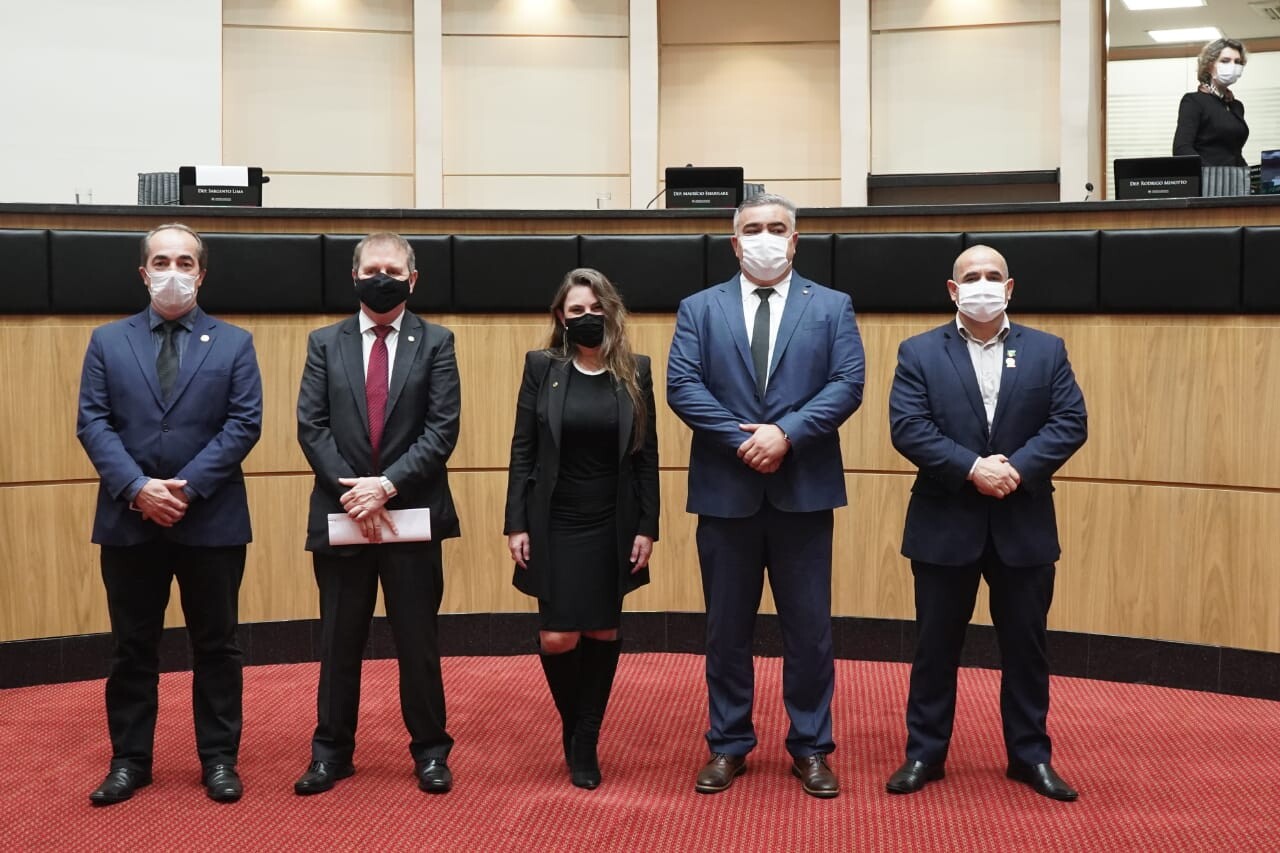 Parlamentares da Comissão Mista da Iresa