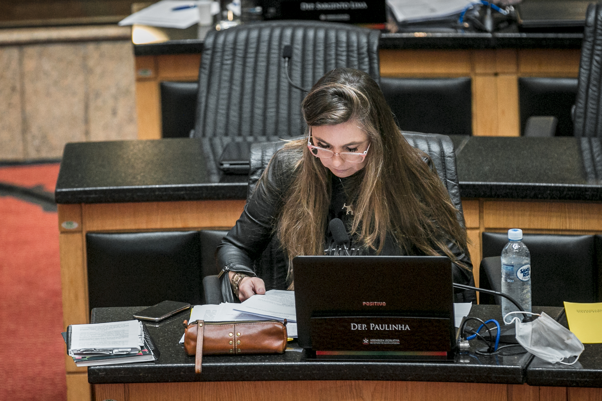 Deputada Ana Paula da Silva (PDT)