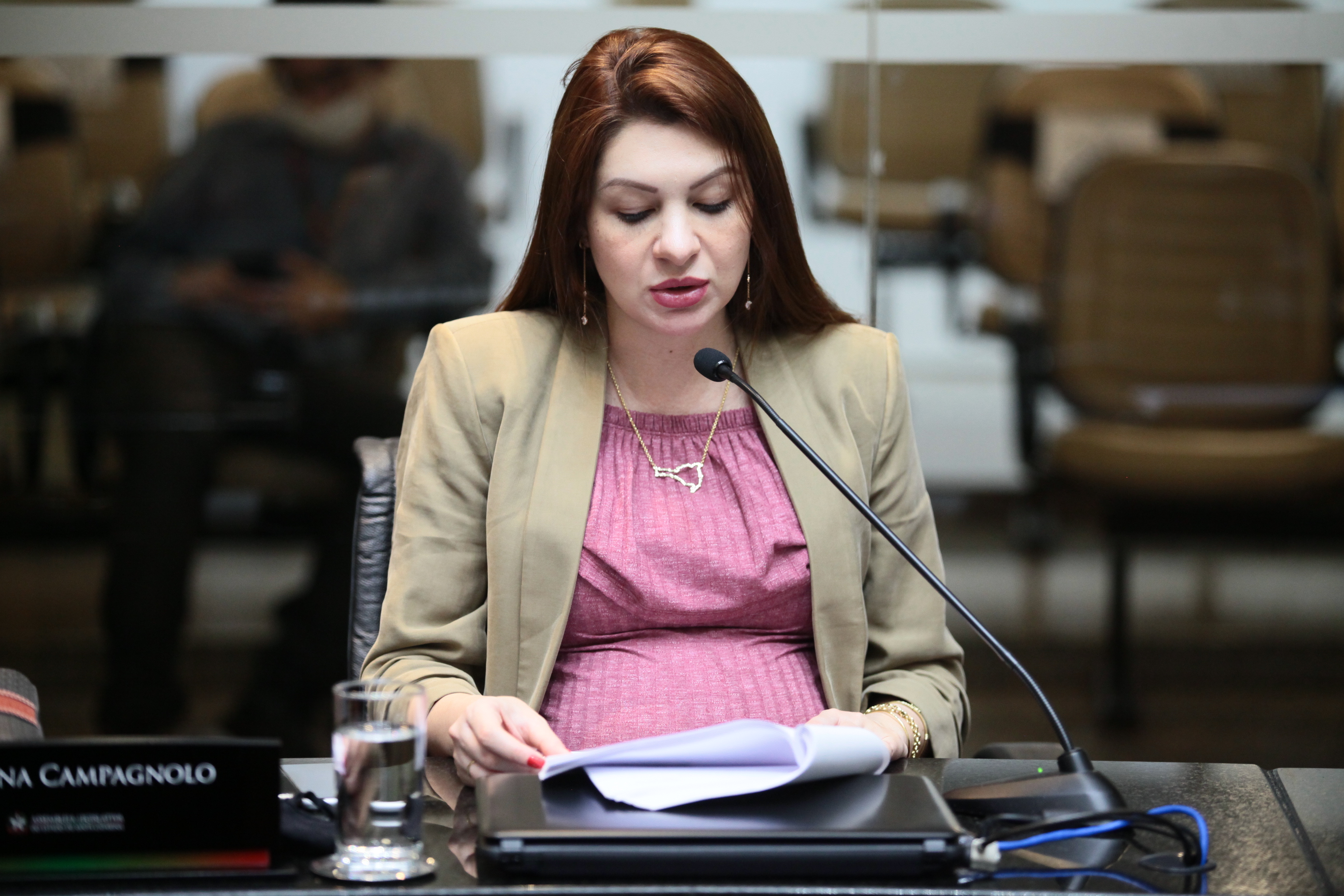 Comissão de Impeachment 2 - Deputada Ana Caroline Campagnolo (PSL)